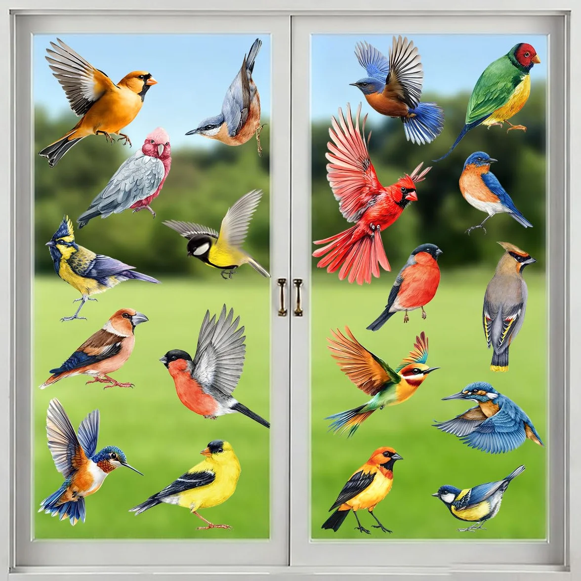 Autocollants pour fenêtres Protection des oiseaux Stickers anti-collision