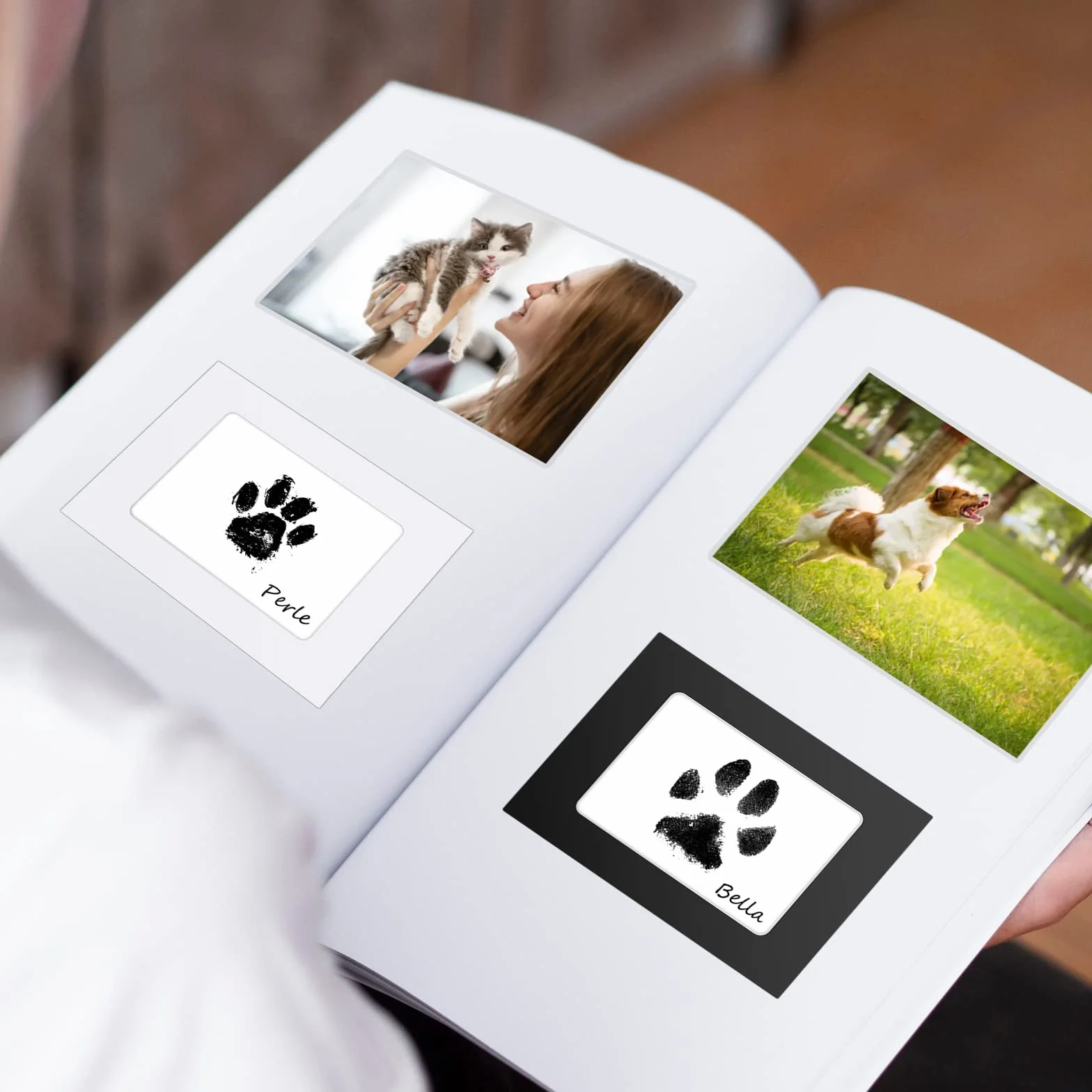 Kit Empreinte Chien et Chat avec 2 Cadres Photo Souvenir Tatouage