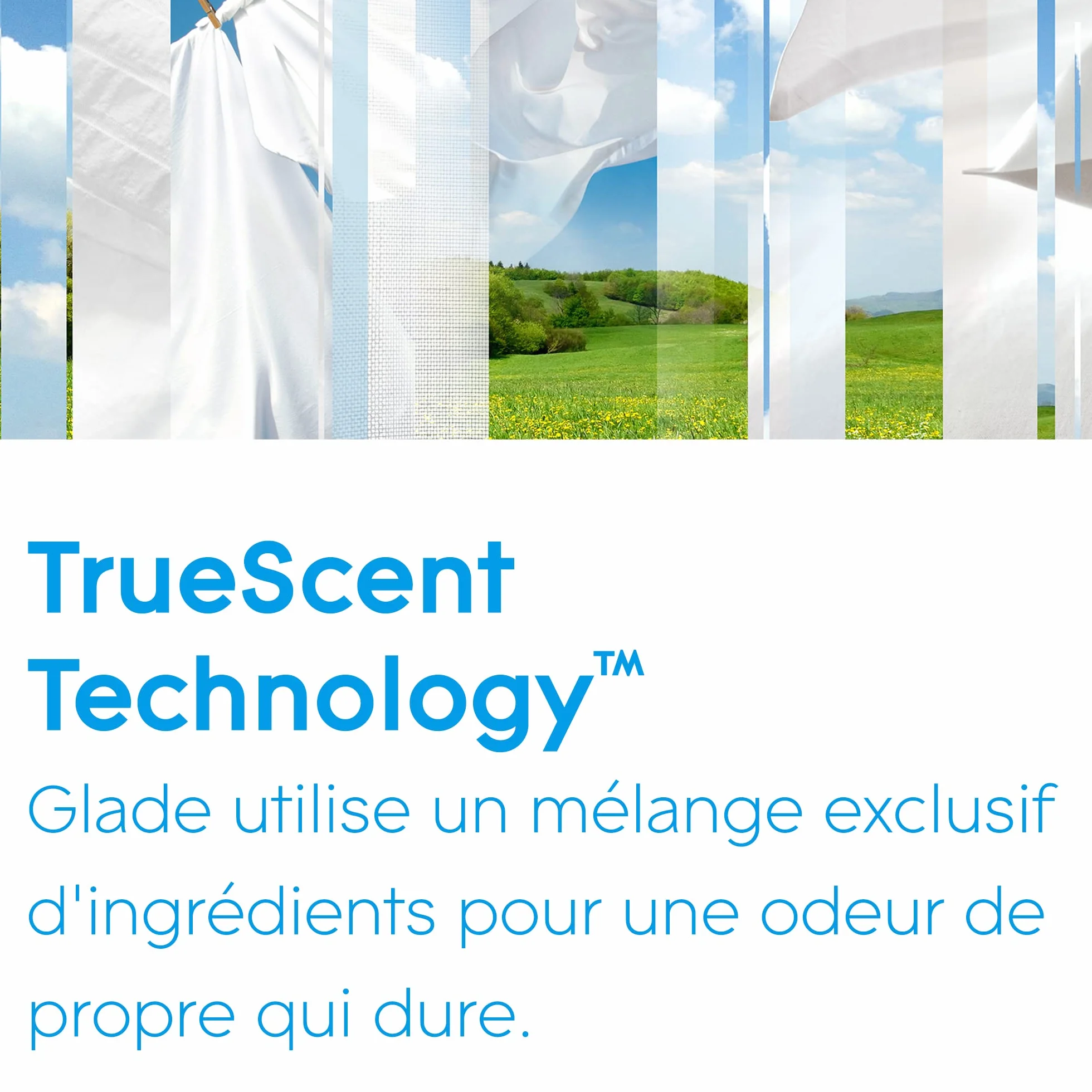 Glade Sense et Spray Recharge Diffuseur Détection Mouvement Huiles Essentielles Pure Clean Linen 1 Recharge