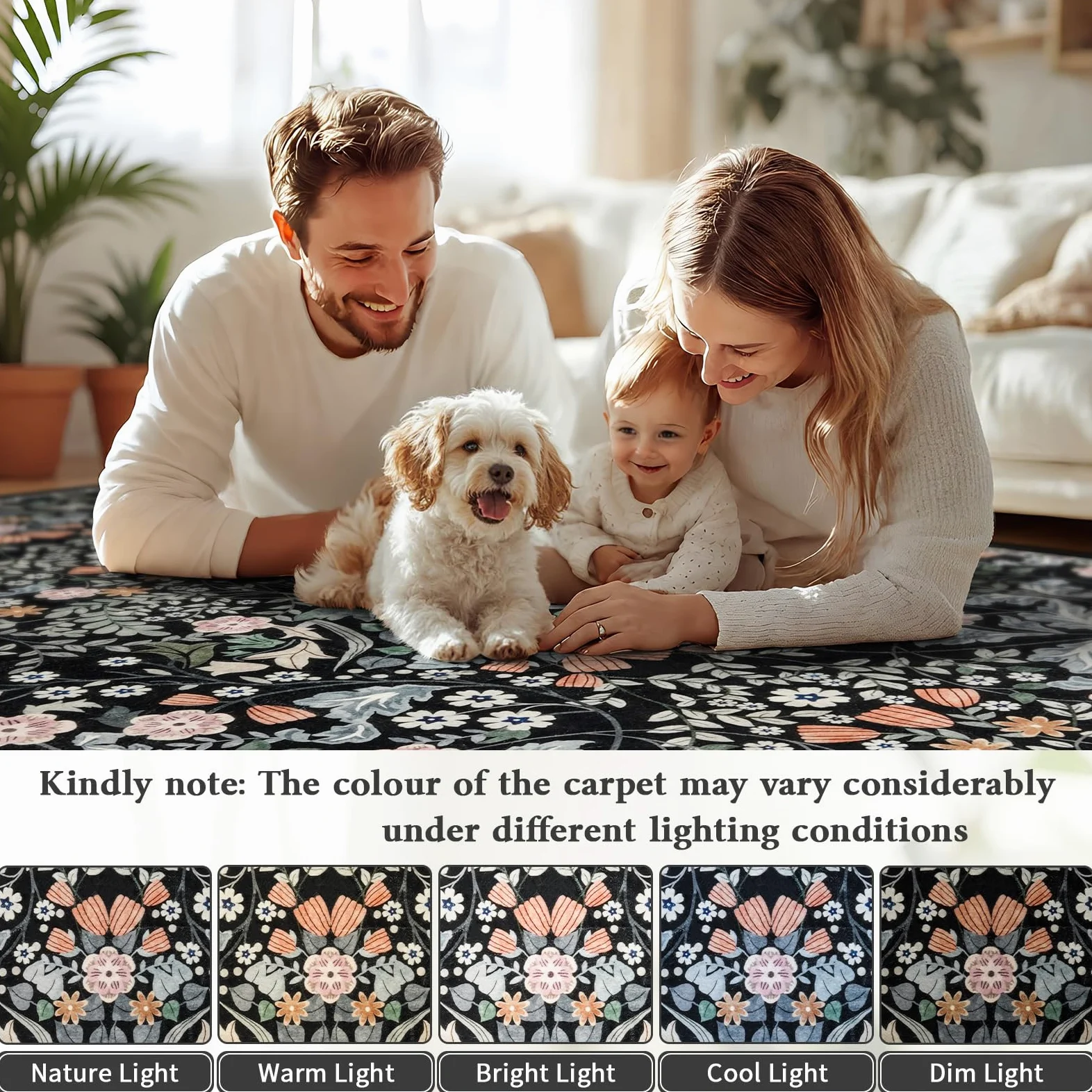 Tapis lavable pour le salon