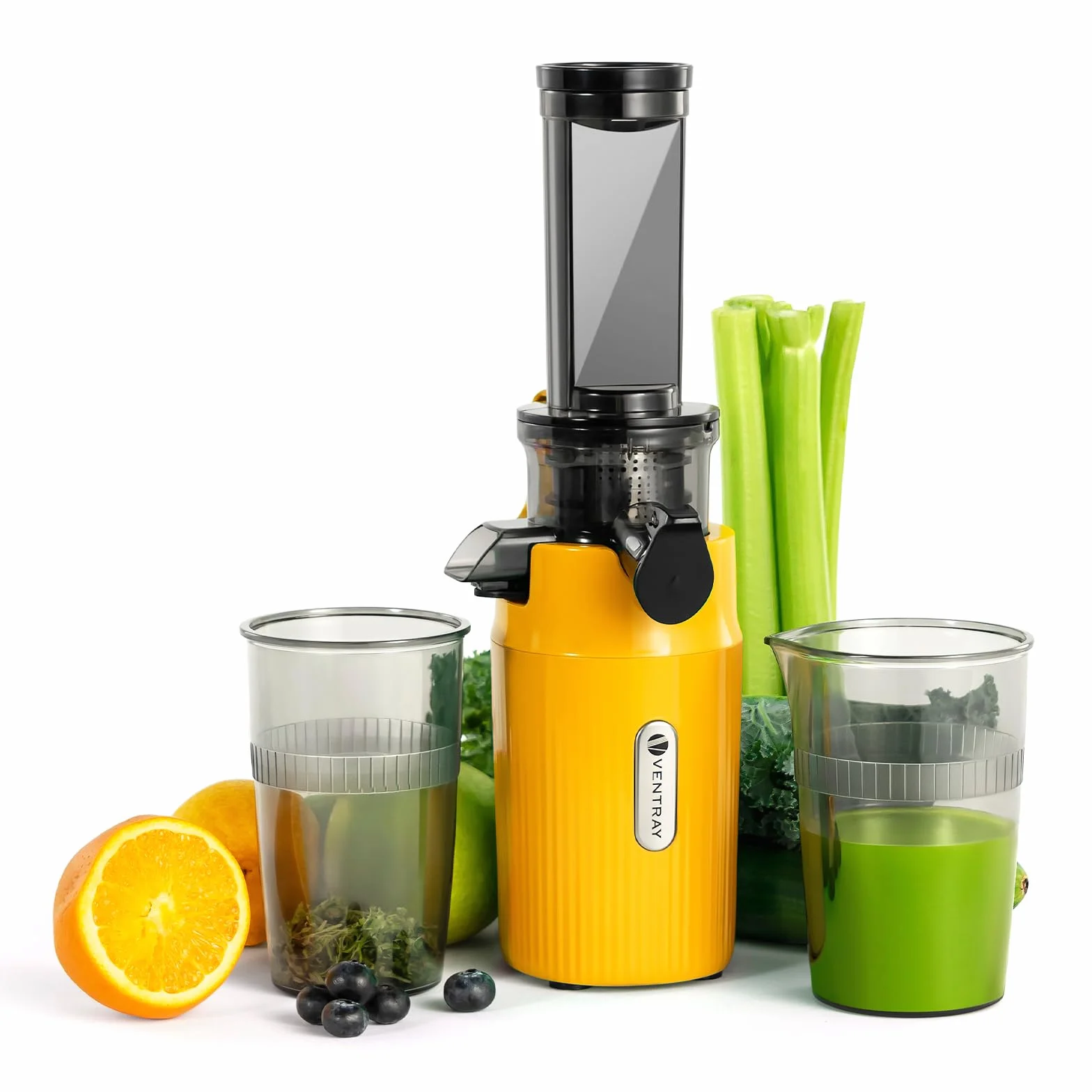 Ventray Extracteur de Jus Slow Juicer 60 Tours Presse à Froid Sans BPA Vert