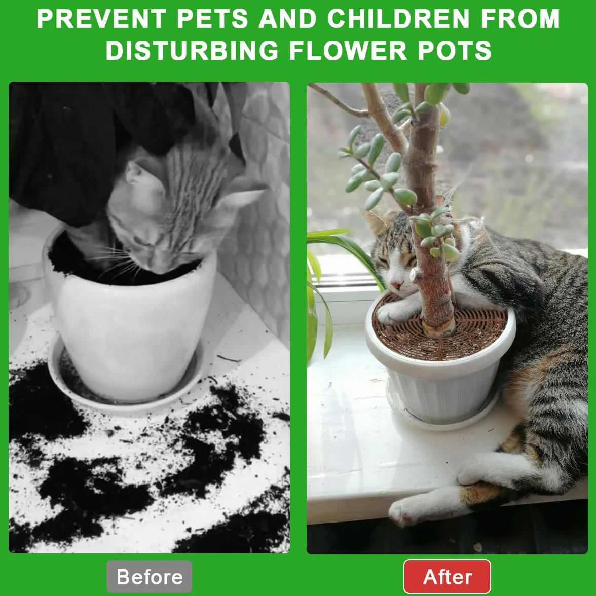 Grilles de Pots de Plantes 4 Pièces, Cache-Pot de Fleurs Jusqu'à 30 cm, Protection Sol pour Plantes Contre Chats Enfants