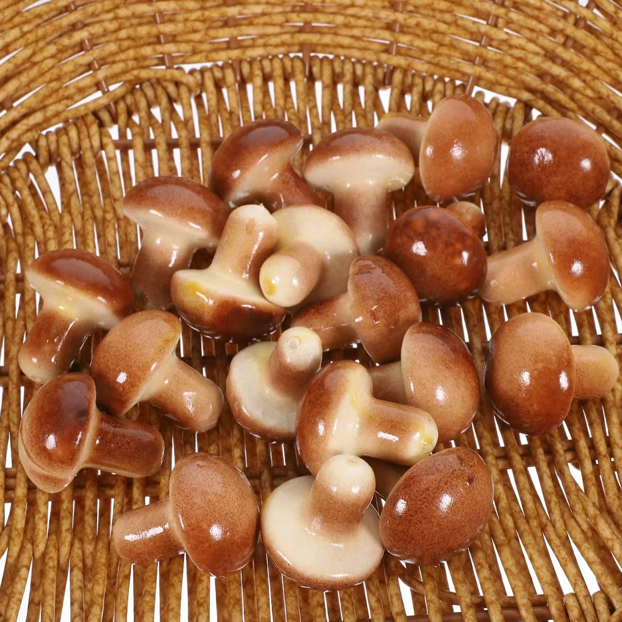 GLEAVI Miniatures Champignons 20 Pièces Décoratifs pour Photo Bureau Enseignement