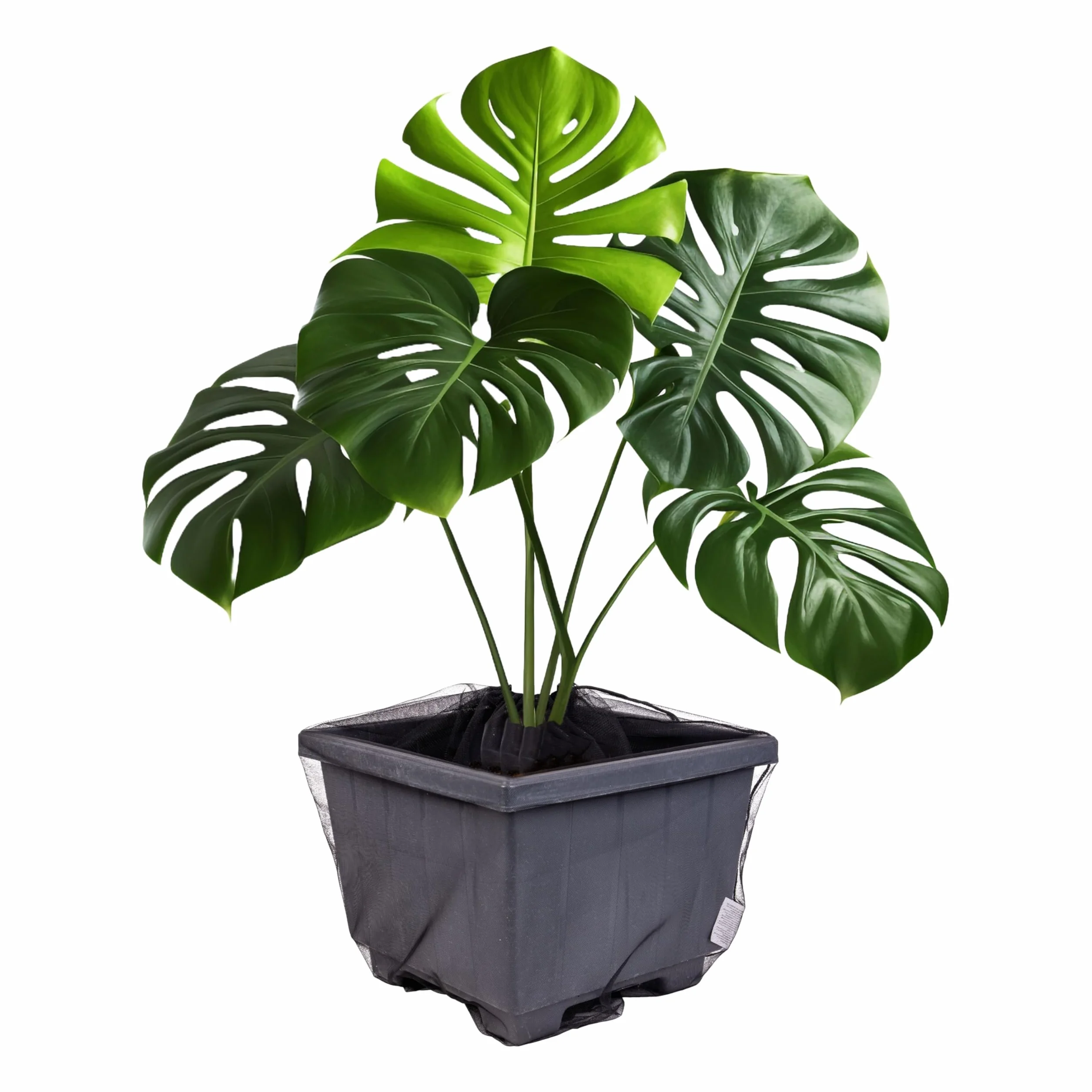 Filet de Protection des Plantes Sécurité Enfants 2 pcs Nylon Noir Ø 30 cm