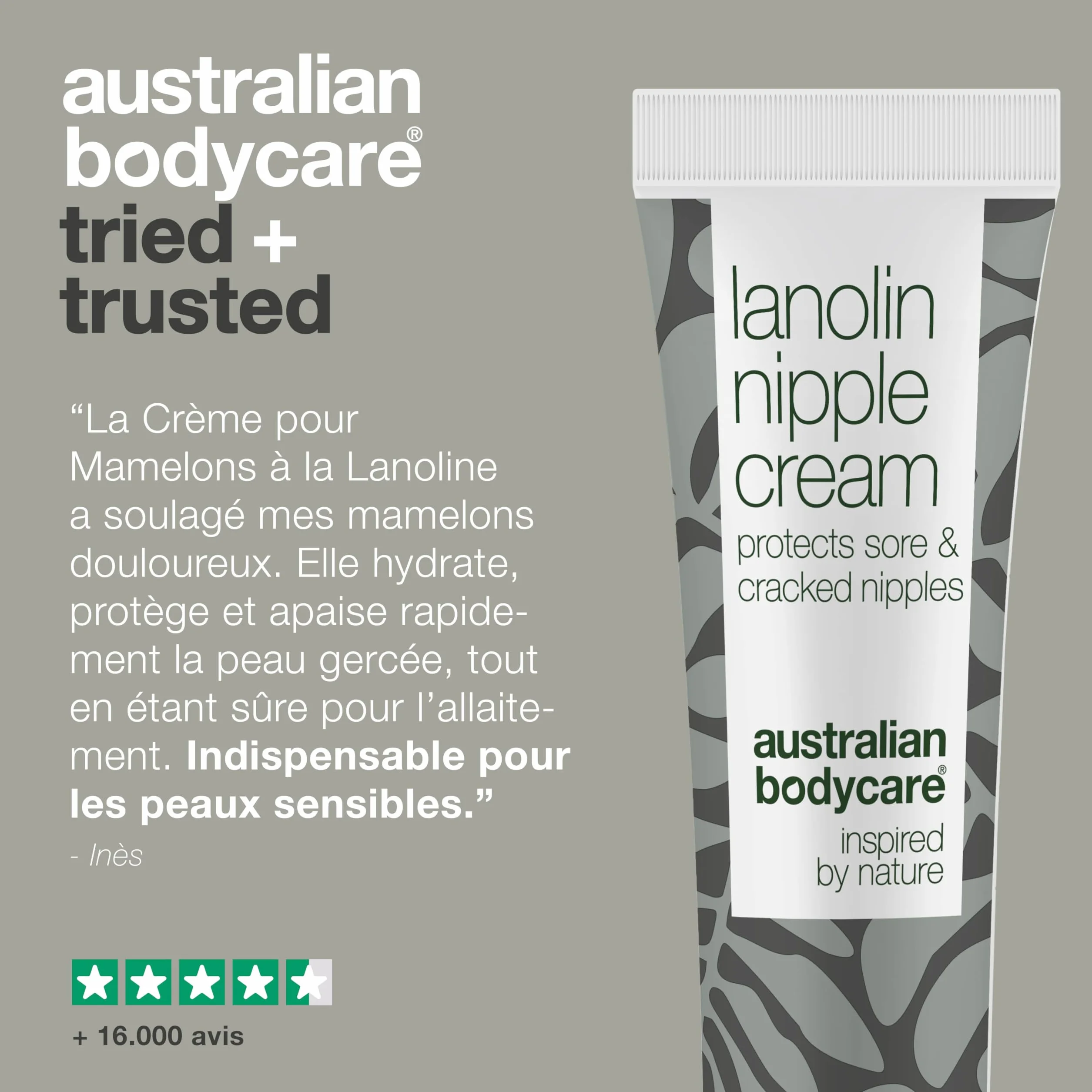 Crème pour mamelons à la lanoline – Soulagement naturel pour mamelons secs, fissurés et douloureux – Hydratation profonde