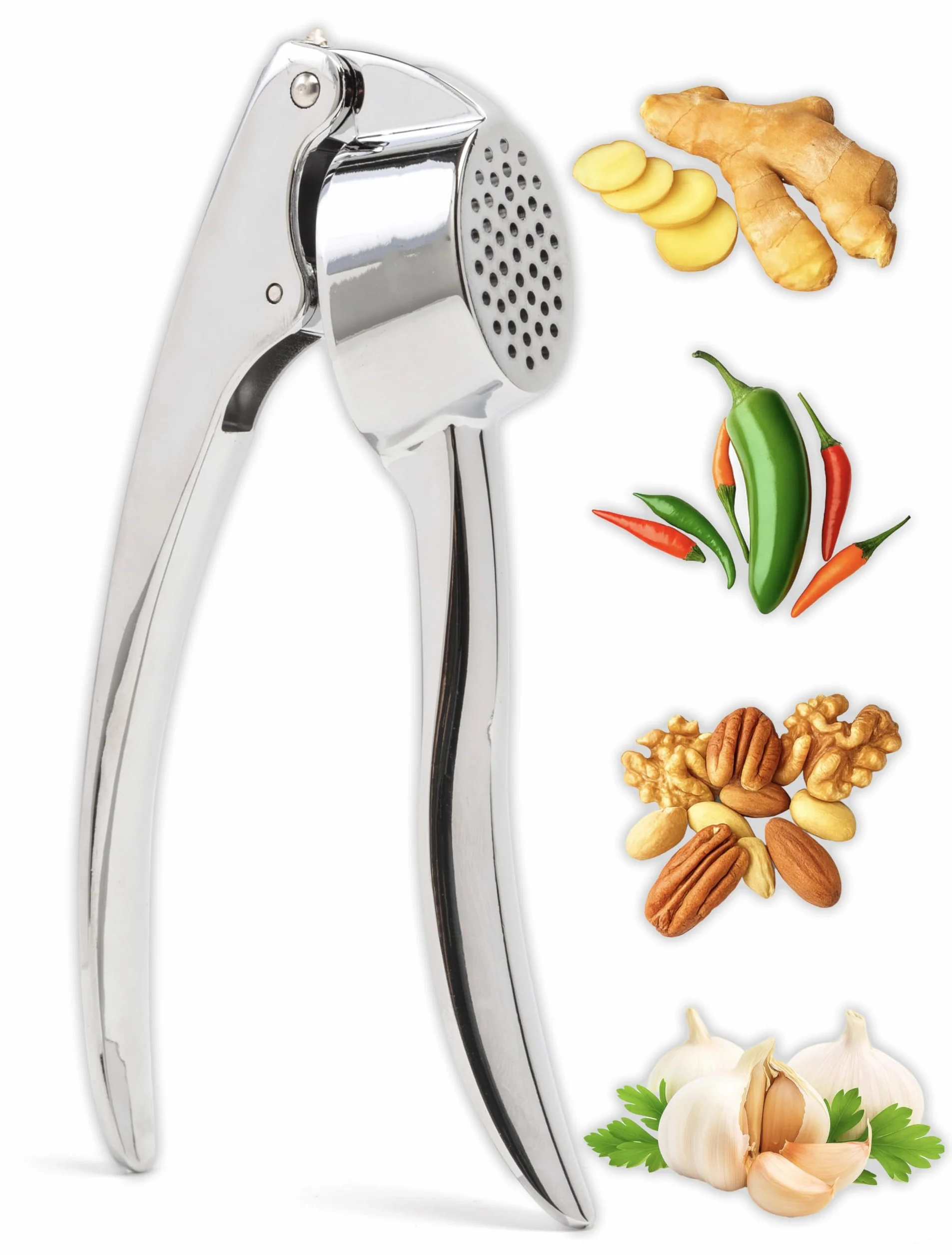 IPEA Presse-Ail en Acier Inoxydable pour Ail, Gingembre, Piment - Presse Ail Professionnel de Cuisine