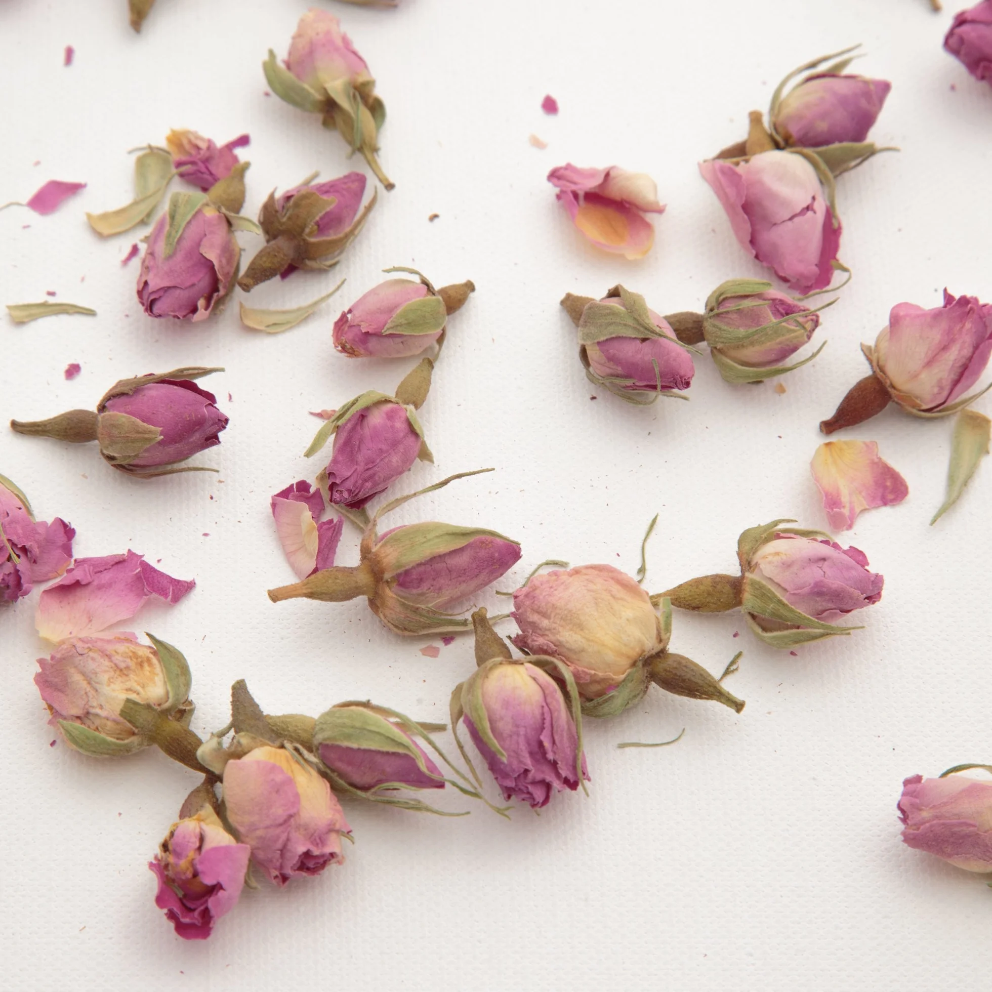Rosemarie Schulz® Boutons de Roses séchées Parfum de Rose 100 g