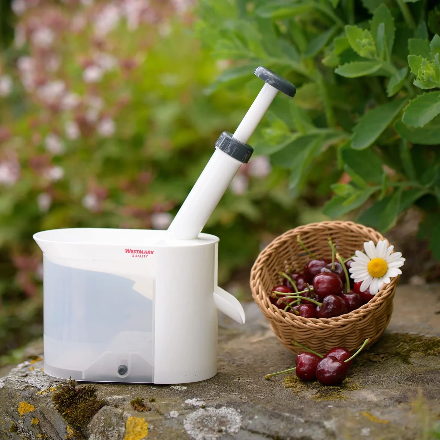 Westmark Dénoyauteur à Cerises avec Goulotte et Caissette à Noyaux Plastique Acier Inoxydable Blanc Anthracite