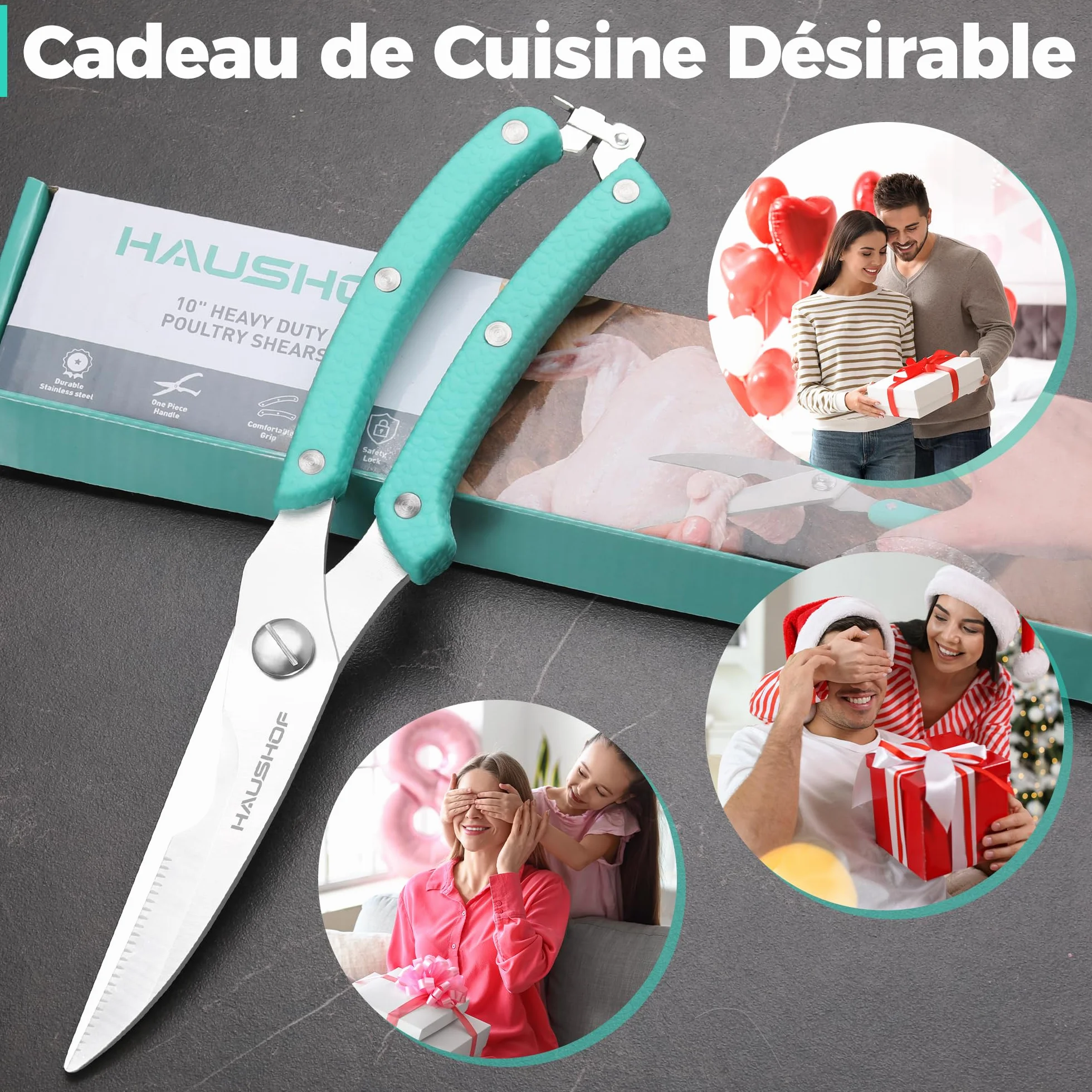 HAUSHOF Ciseaux à Volaille Robustes 255 mm, Acier Inoxydable, Ciseaux de Cuisine Professionnels