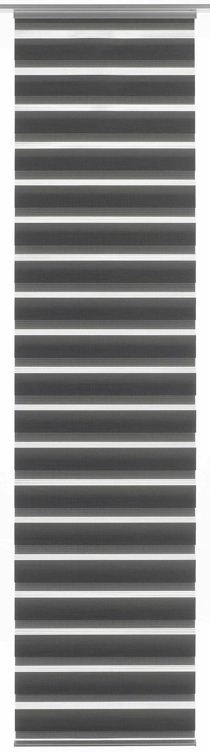 Gardinia Panneau Japonais (1 Pièce), Rideau Coulissant, Store Enrouleur Double, Rideau Day + Night, Technologie Innovante + Brevetée, Gris, 60 x 245 cm (LxH)