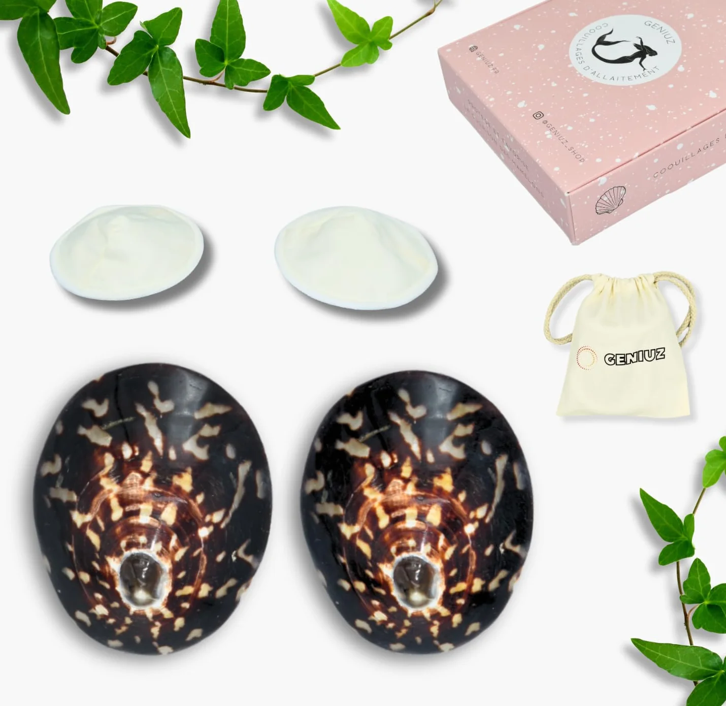 GENIUZ Coquillages Allaitement Coffret Large + Coussin + Ebook