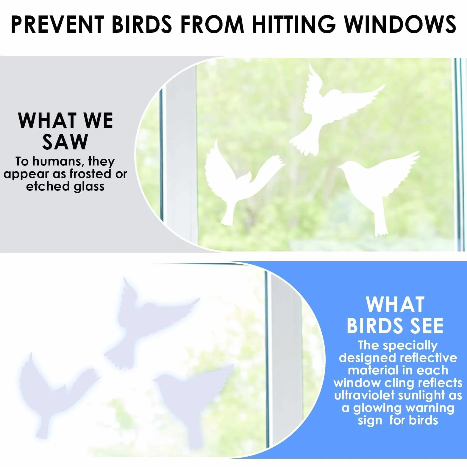 Autocollants Anti-Collision Oiseaux 16 Stickers Réutilisables Électrostatiques Grands Formats Translucides Fenêtres Portes Vitrées