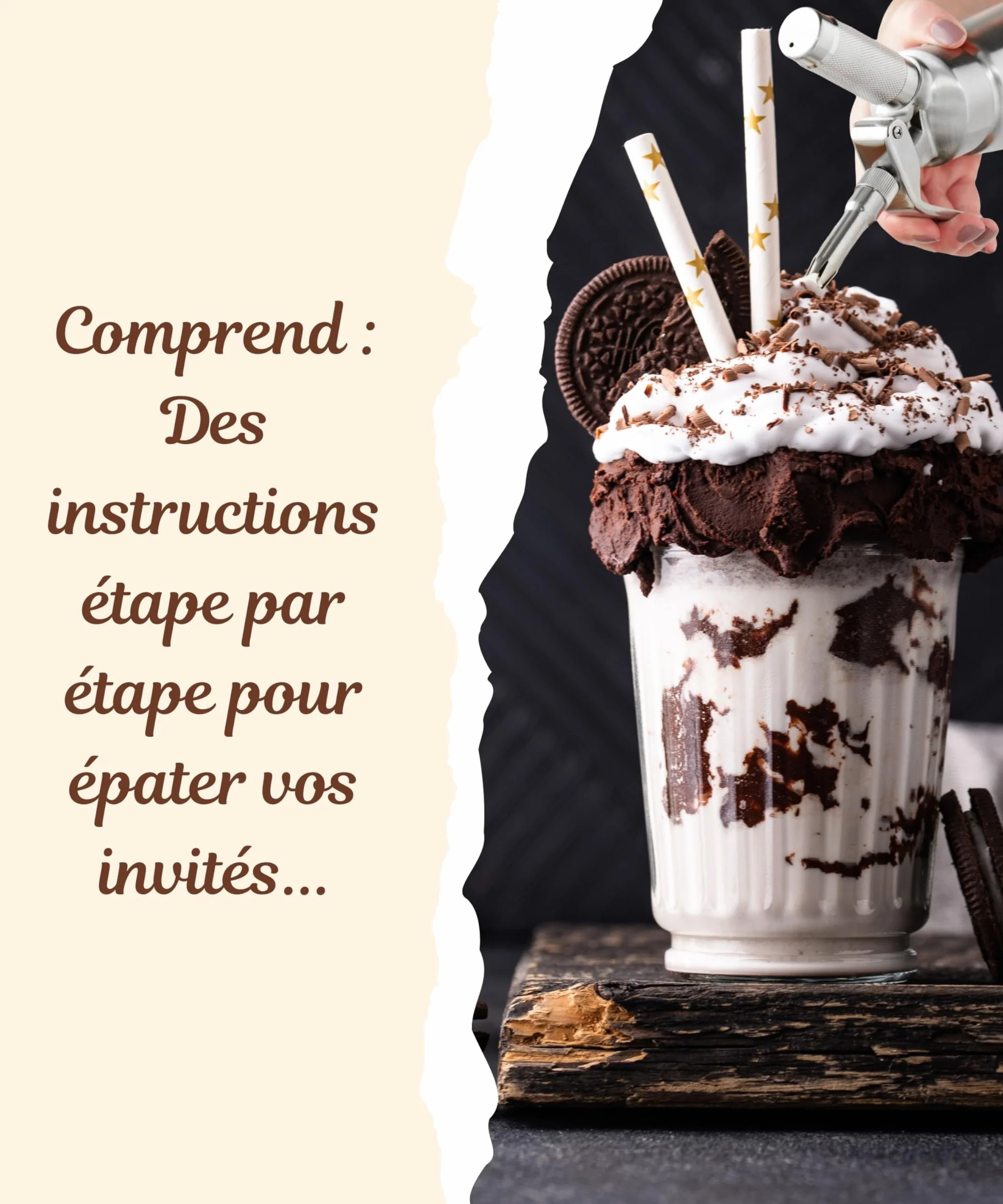 Runesol Siphon Chantilly Professionnel Inox 500ml 3 Douilles Acier Inoxydable 1 Brosse Siphons Cuisine Patisserie