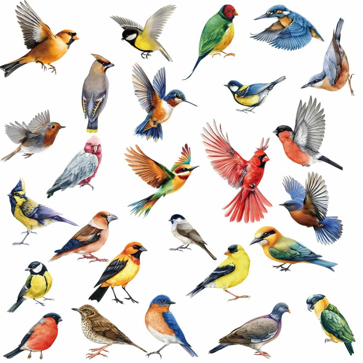 Autocollants pour fenêtres Protection des oiseaux Stickers anti-collision