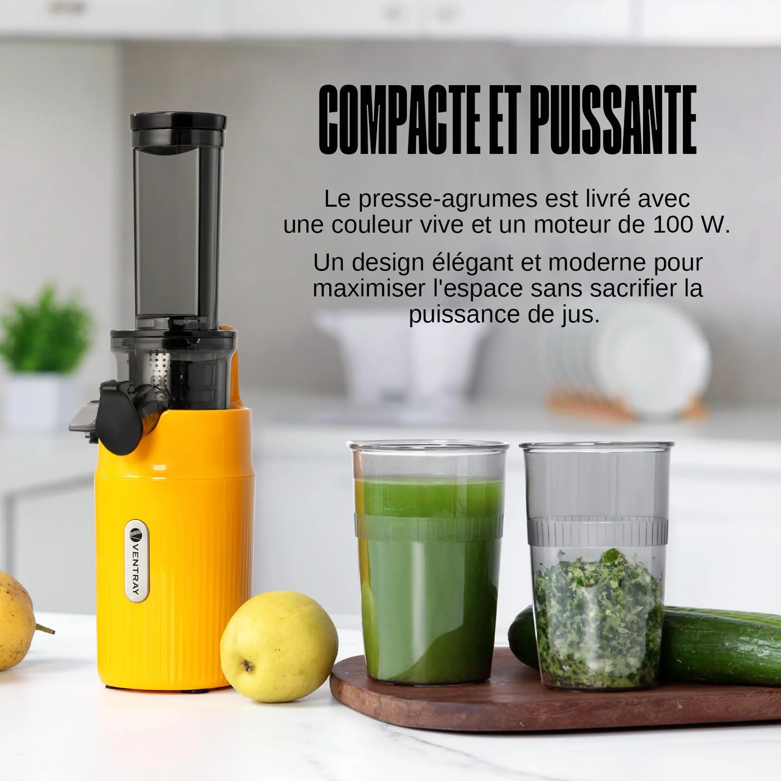 Ventray Extracteur de Jus Slow Juicer 60 Tours Presse à Froid Sans BPA Vert