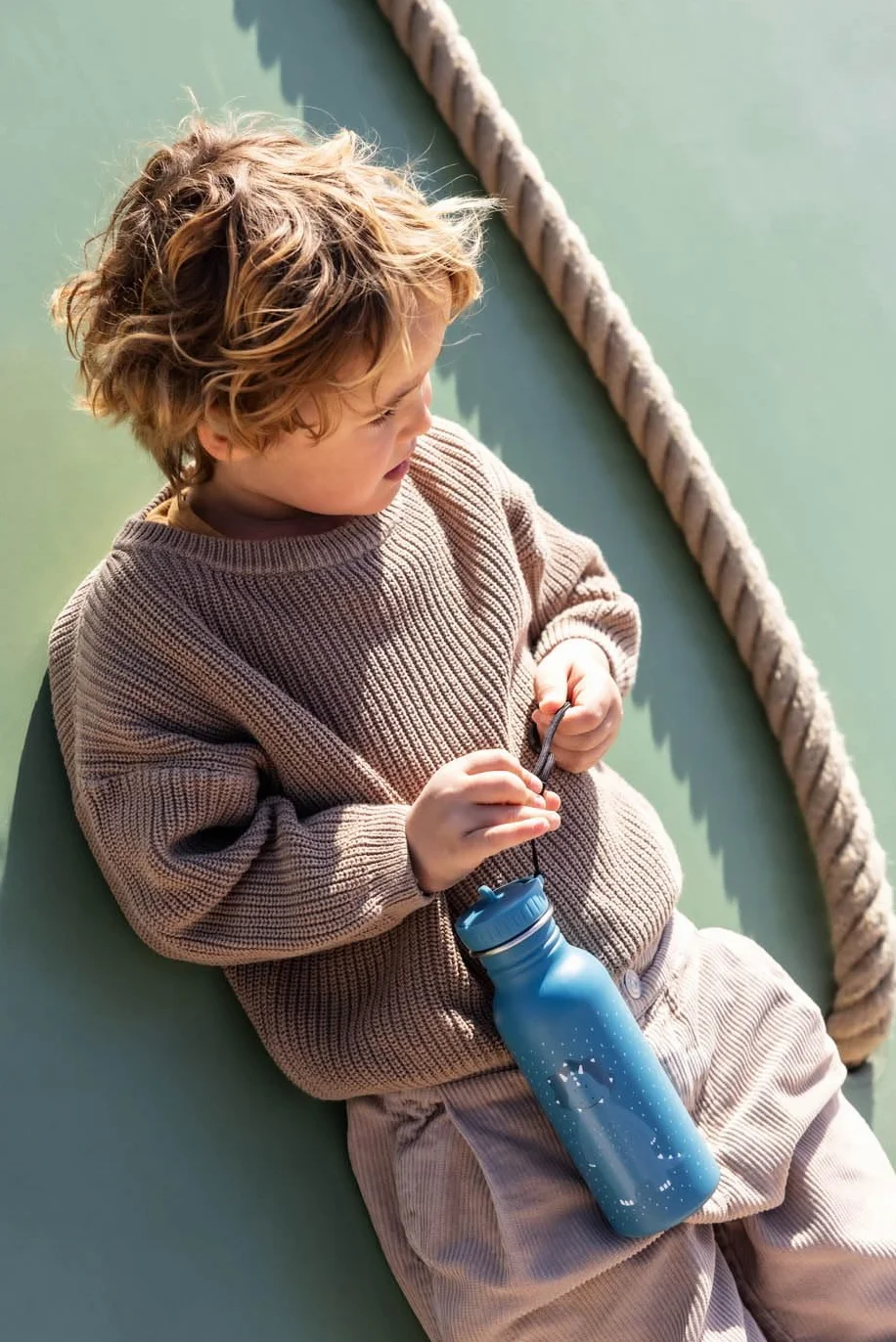 Trixie Gourde pour Enfants en Acier Inoxydable 350ml Mr. Triceratops