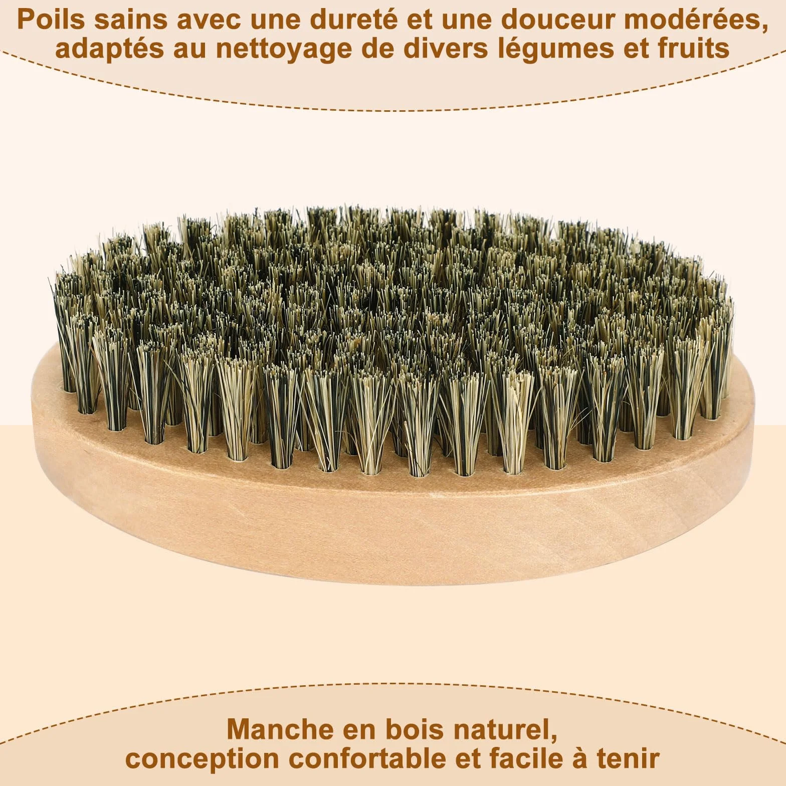 AUGSUN Brosse à Légumes, Brosses à Récurer pour Plats Fruits et Légumes, Brosse de Nettoyage Cuisine