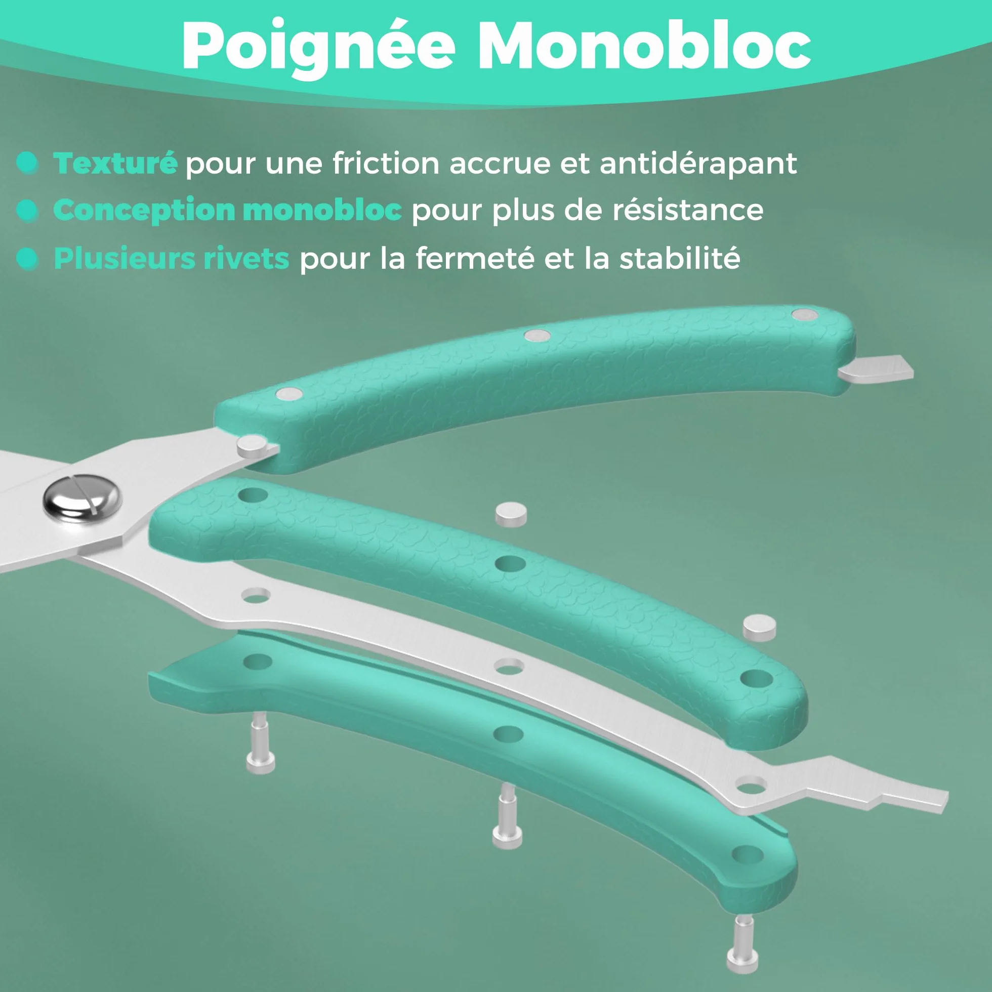 HAUSHOF Ciseaux à Volaille Robustes 255 mm, Acier Inoxydable, Ciseaux de Cuisine Professionnels
