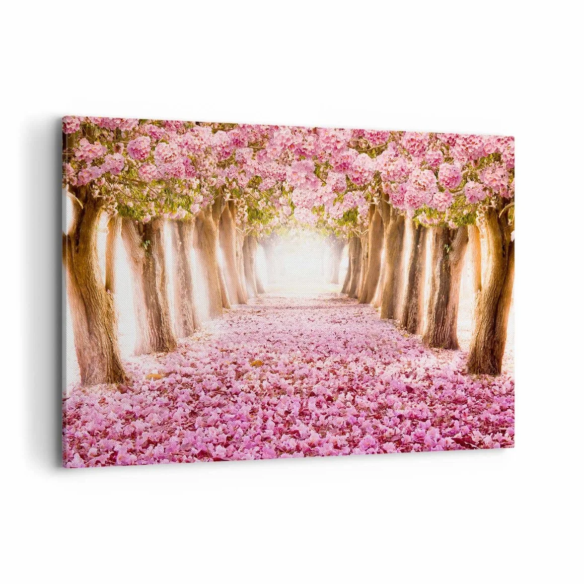 Deco Cadre Décoration Salon Arbre fleurs cerise nature Moderne Impression sur Toile 120x80cm Tableau Decoration Murale Chambre Horizontal Art Wall Grand Tableaux Decoratifs Muraux