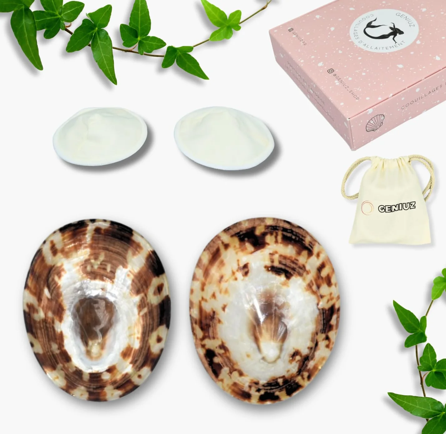 GENIUZ Coquillages Allaitement Coffret Large + Coussin + Ebook