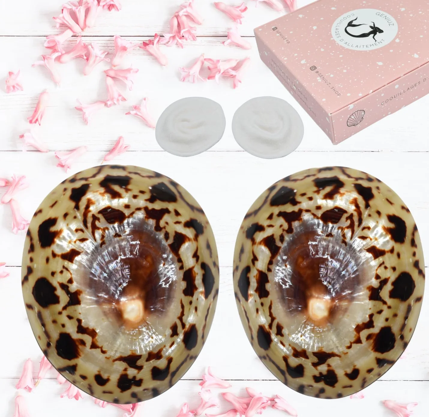 GENIUZ Coquillages Allaitement Coffret Large + Coussin + Ebook