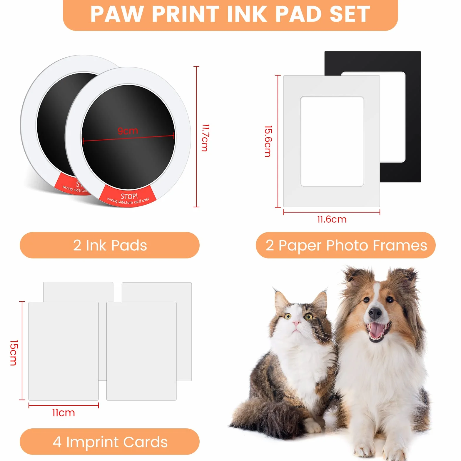 Kit Empreinte Chien et Chat avec 2 Cadres Photo Souvenir Tatouage