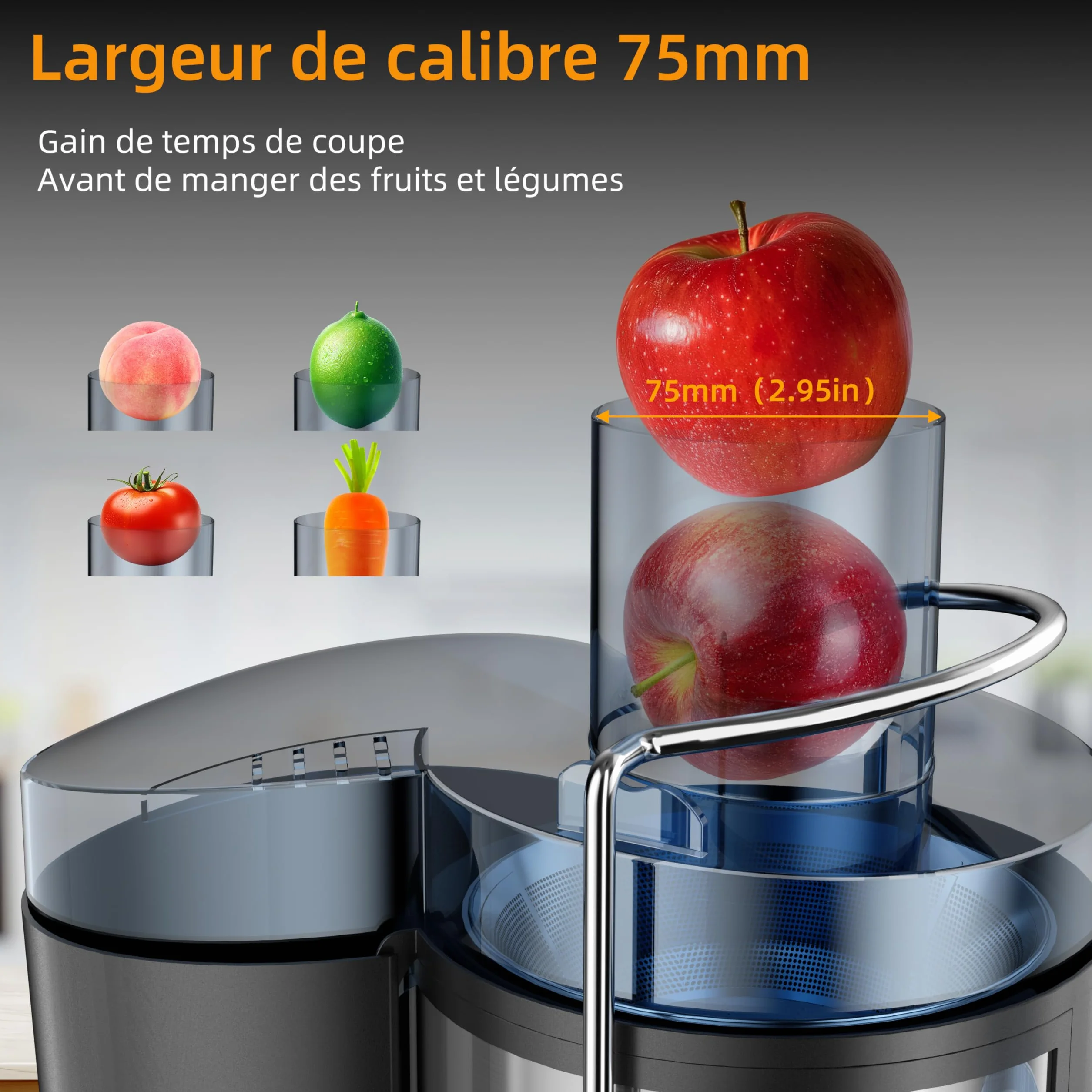 Centrifugeuse Extracteur de Jus 800W, 3 vitesses, bouche 75 mm, acier inoxydable sans BPA