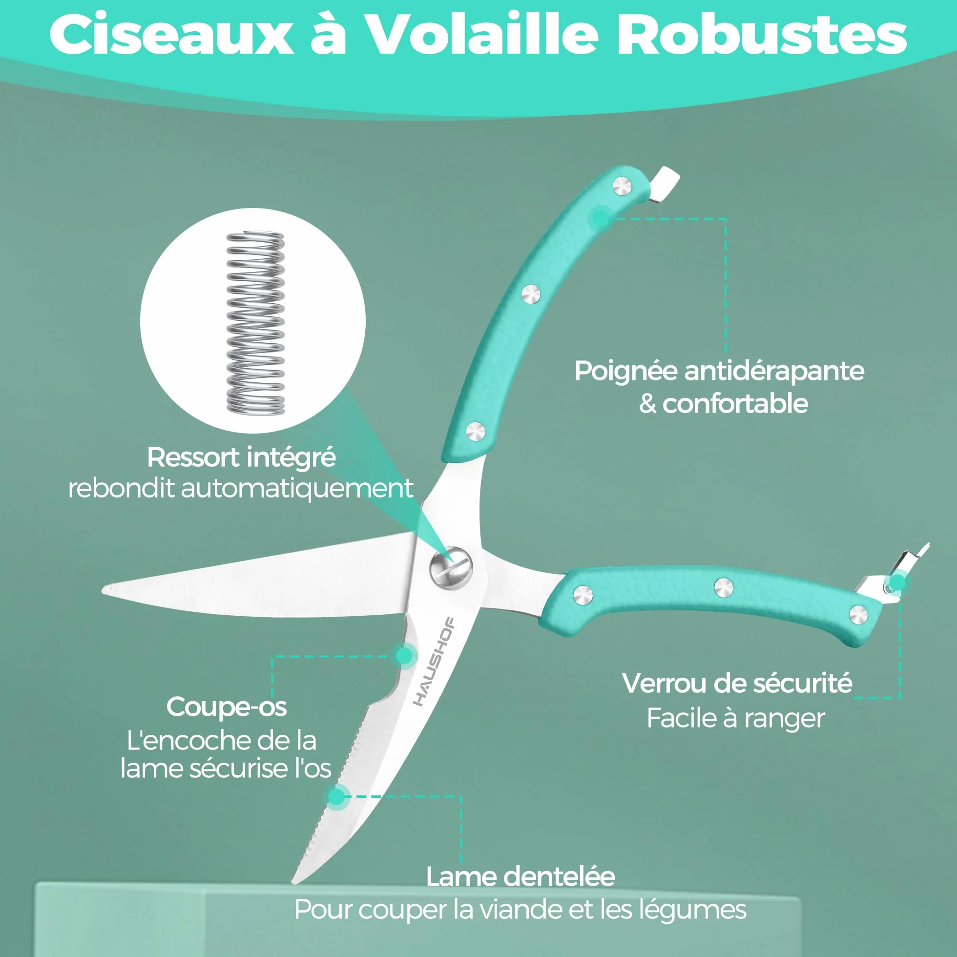 HAUSHOF Ciseaux à Volaille Robustes 255 mm, Acier Inoxydable, Ciseaux de Cuisine Professionnels