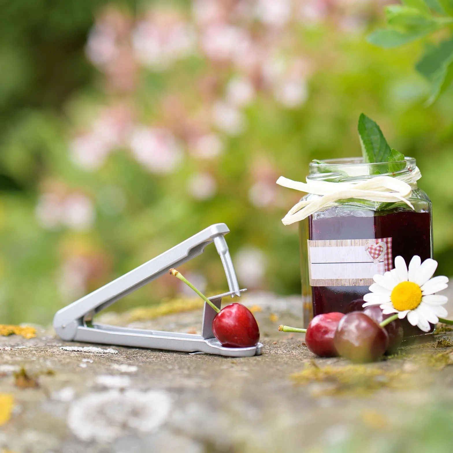 Westmark Dénoyauteur à Cerises et Prunes Aluminium Acier inoxydable Argenté