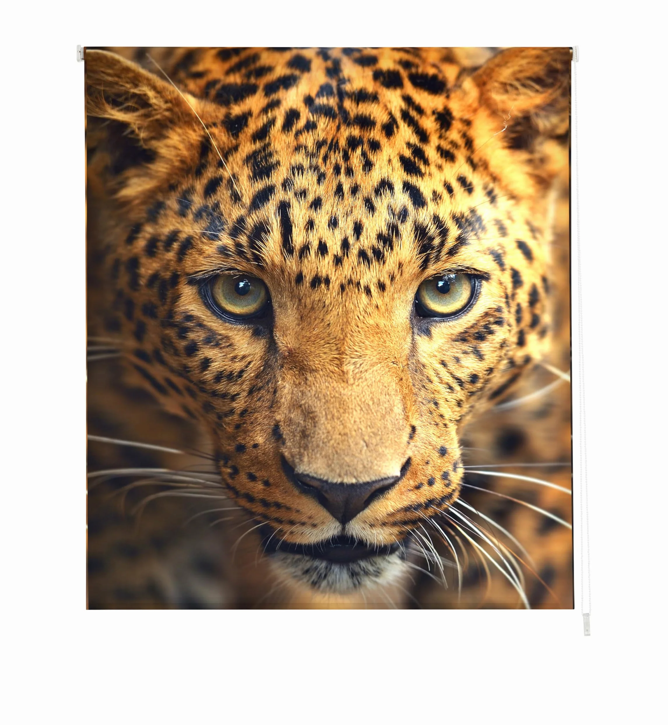 Estoralis | Animaux | Store Enrouleur | sans Outil Tissu translucide imprimé | A-122 | 120 x 150 cm. (Largeur/Hauteur) Taille du Tissu 117 x 150 cm. | Stores pour fenêtres et Portes