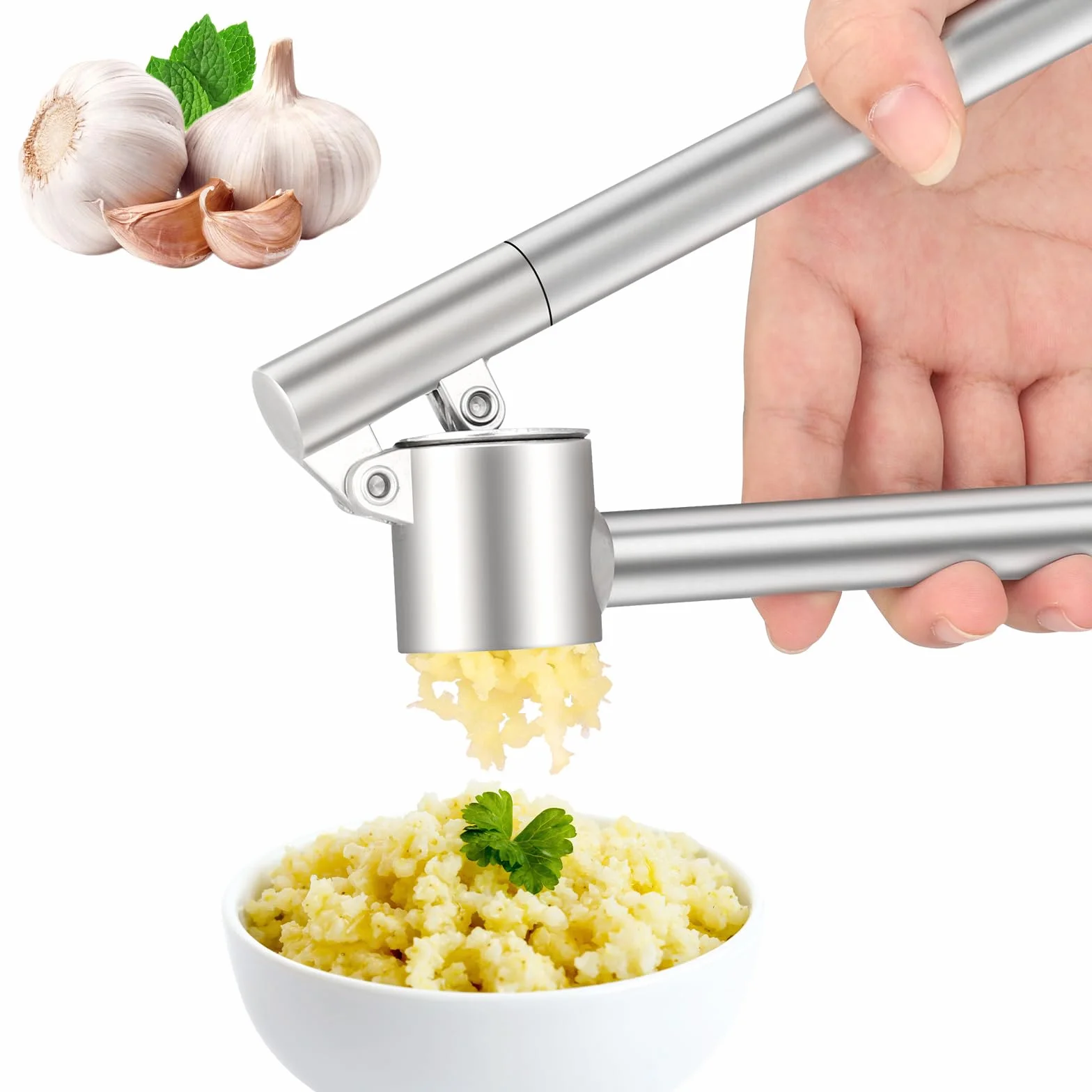 Presse Ail Inox Professionnel, Garlic Crusher, Facile à Presser