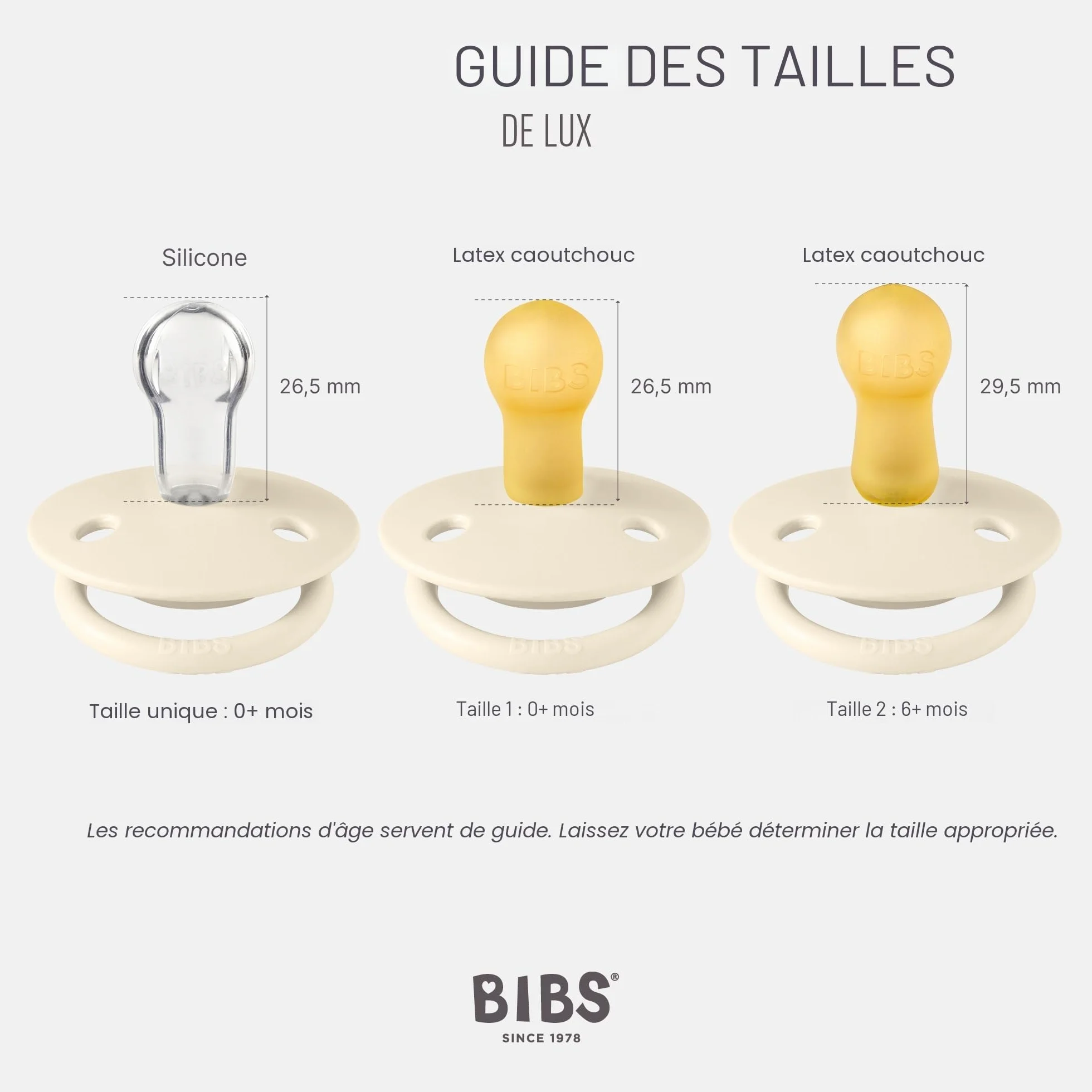 BIBS De Lux Tétine Lot de 2 Silicone Sans BPA 0-36 mois Blossom Dusky Lilac
