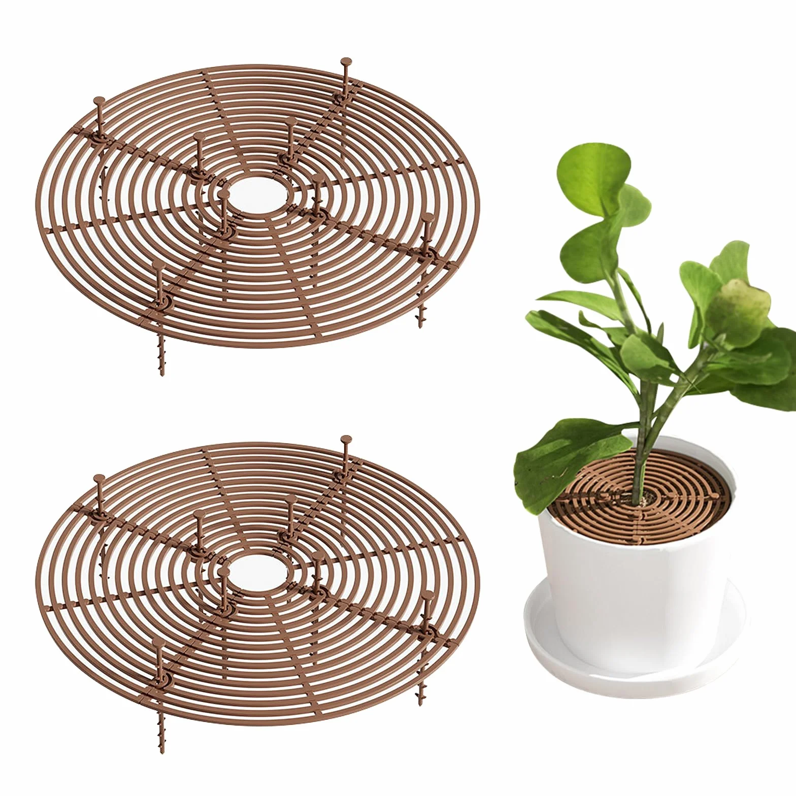 Protection Plante Chat, Grilles de Protection de Pots, 2 Pièces