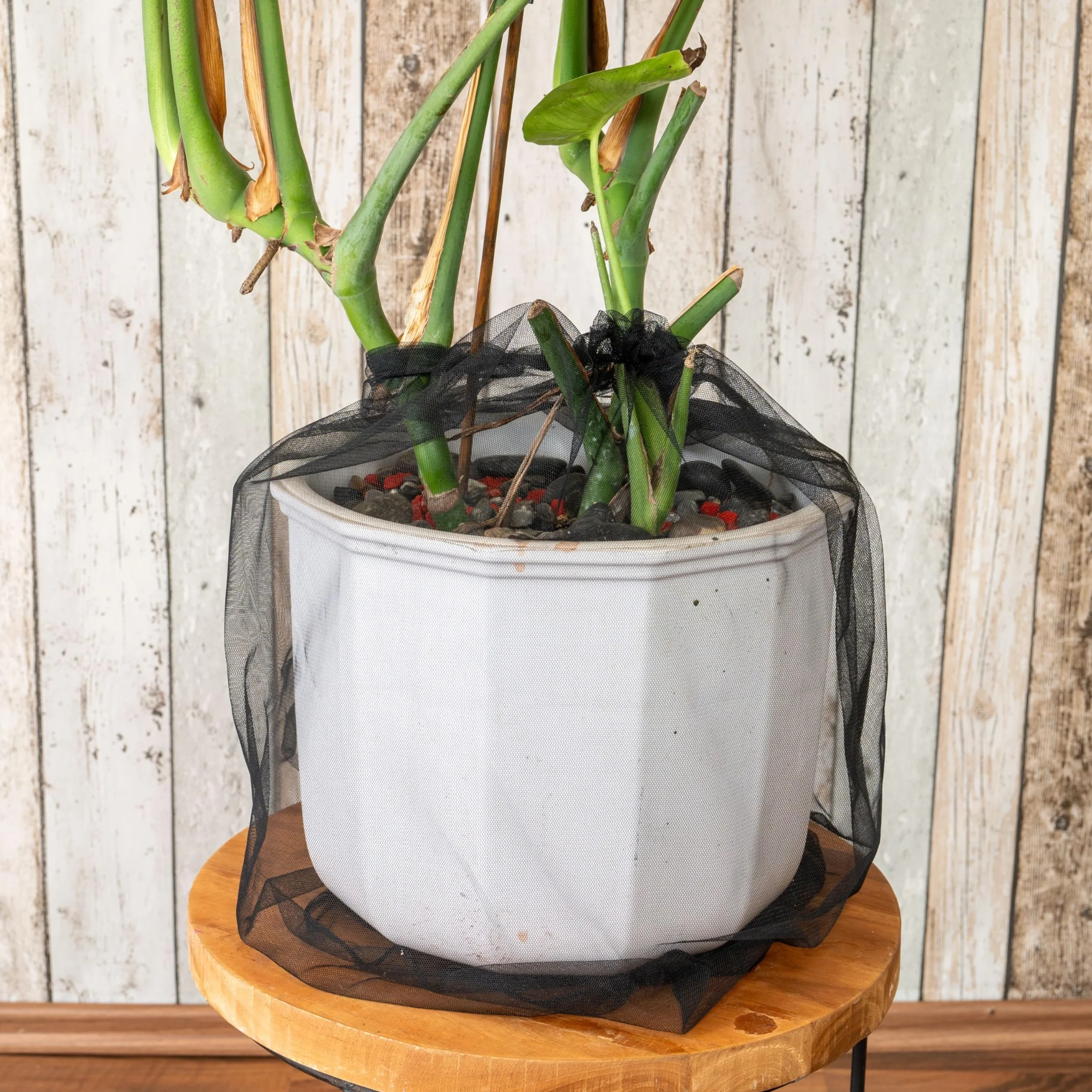 Filet de Protection des Plantes Sécurité Enfants 2 pcs Nylon Noir Ø 30 cm
