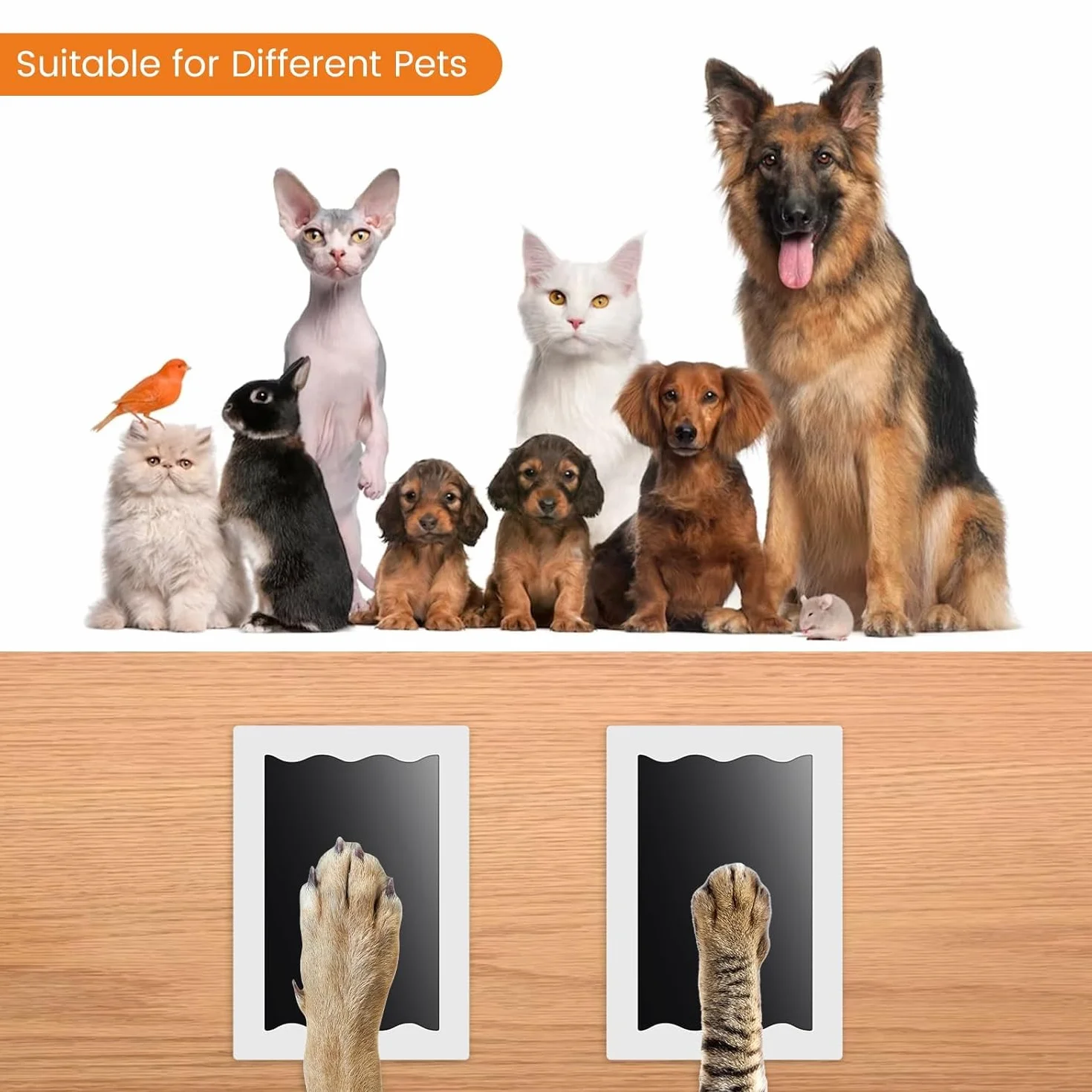 Empreinte Chien Nabance 6pcs Kit Empreinte Chien Chat 12 Cartes Clean Touch Empreintes Bébé Kit Empreinte Pieds et Mains Boîte Cadeau