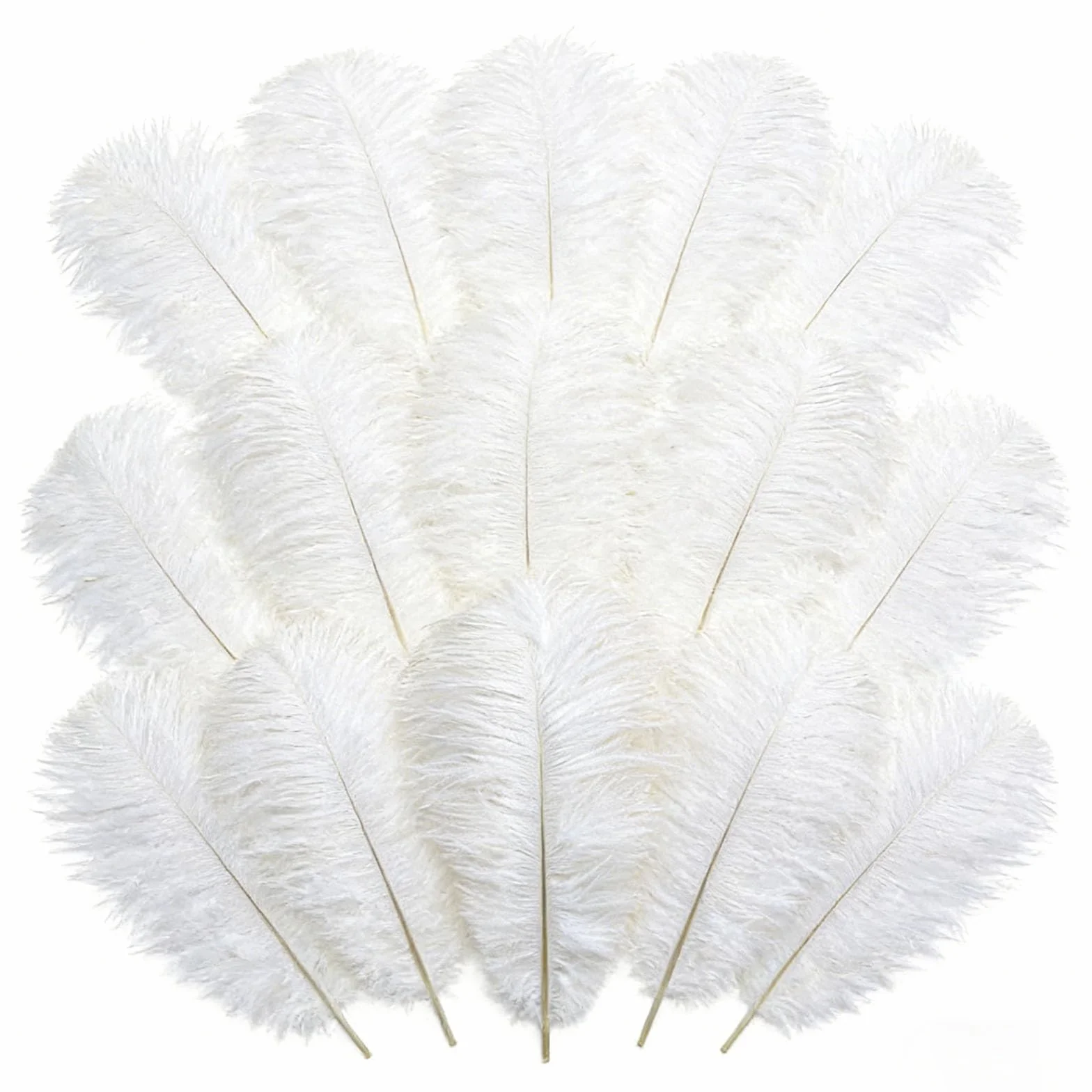 Grandes Plumes d'Autruche Blanches Naturelles 25-30 cm Lot de 20 pour Mariage Décoration