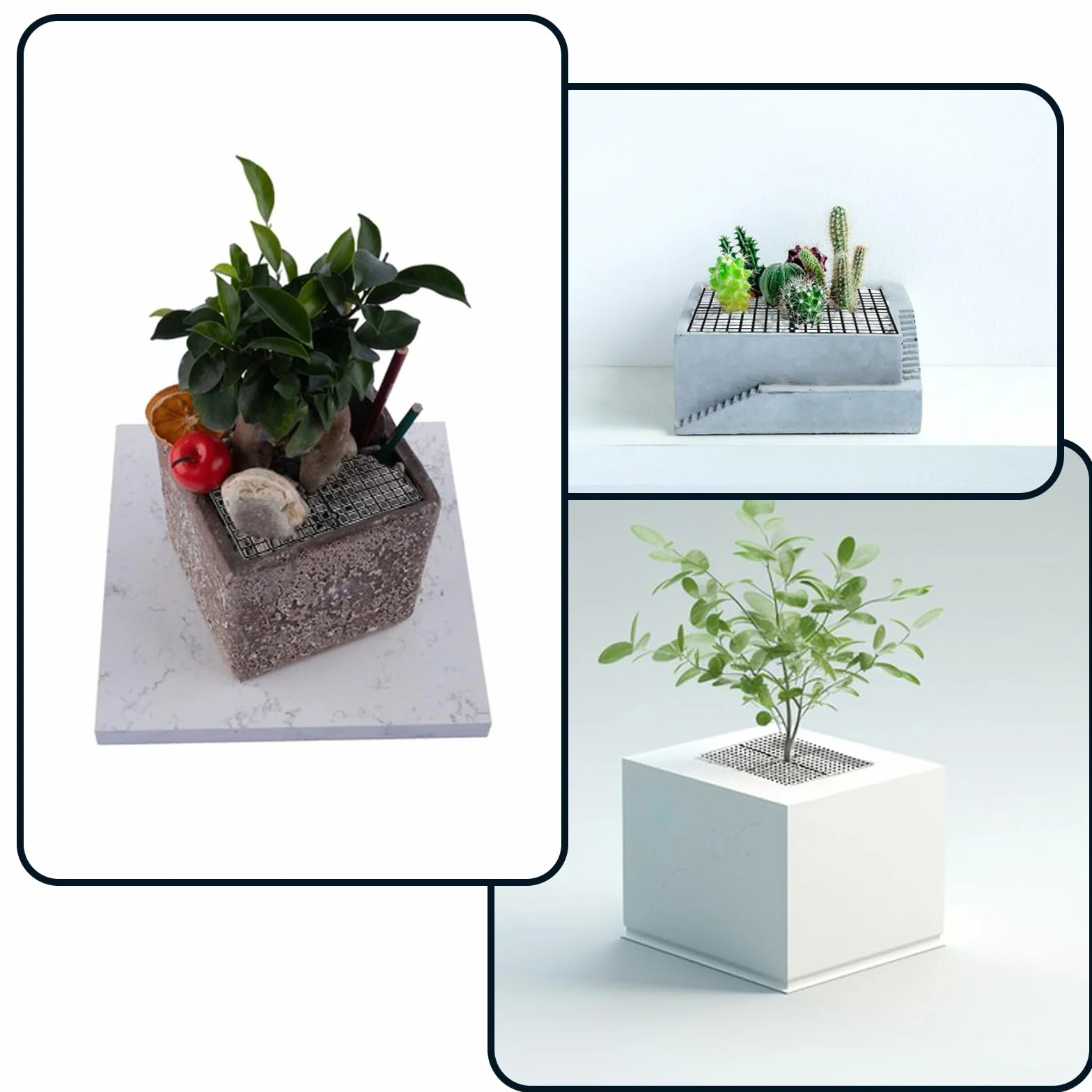 Grande Grille de Pot de Fleurs 30 Cm Découpable, Protection Plante Chat Animaux Domestiques