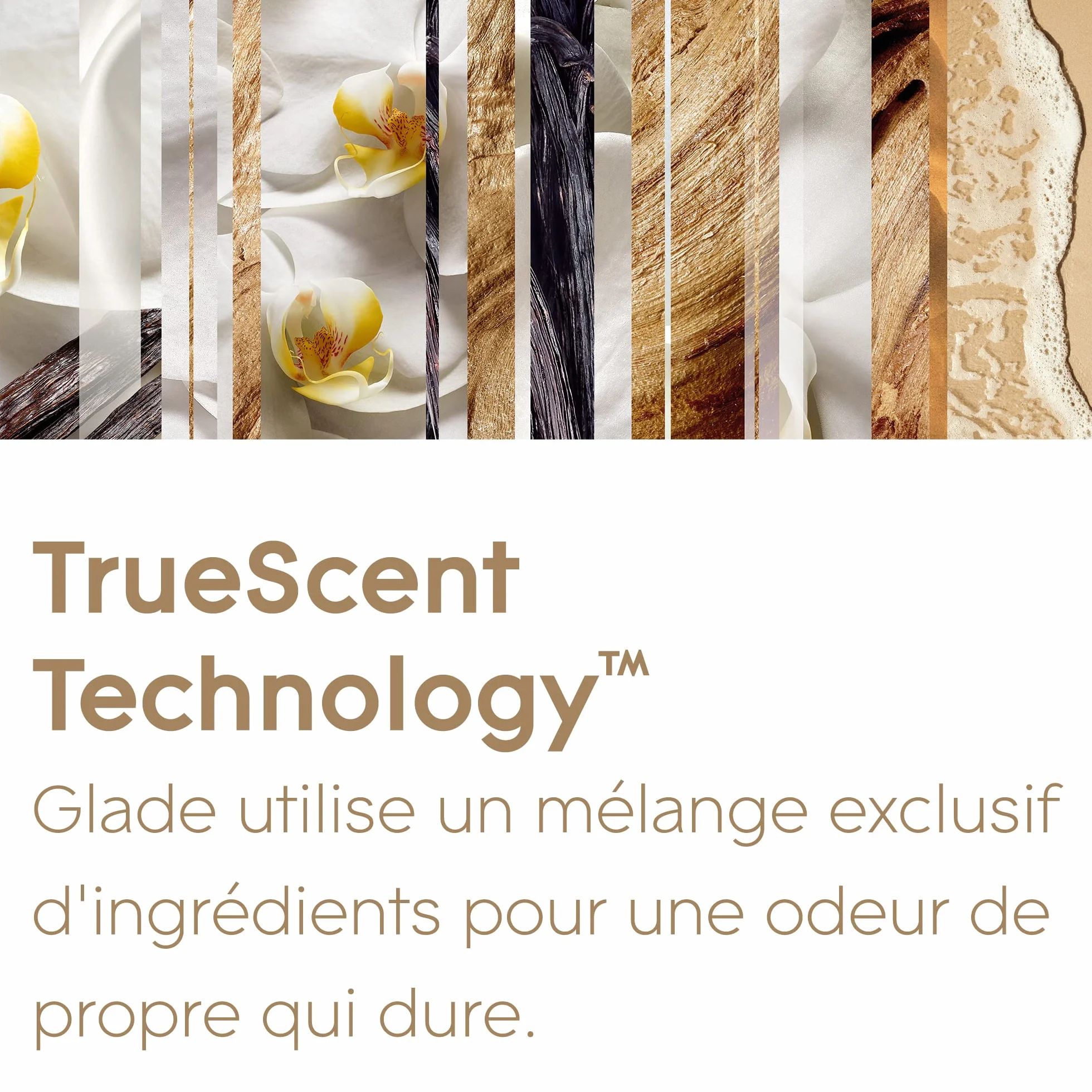 Glade Sense & Spray Recharges Diffuseur à Détection de Mouvement Huiles Essentielles Romantic Vanilla Blossom 3 Recharges