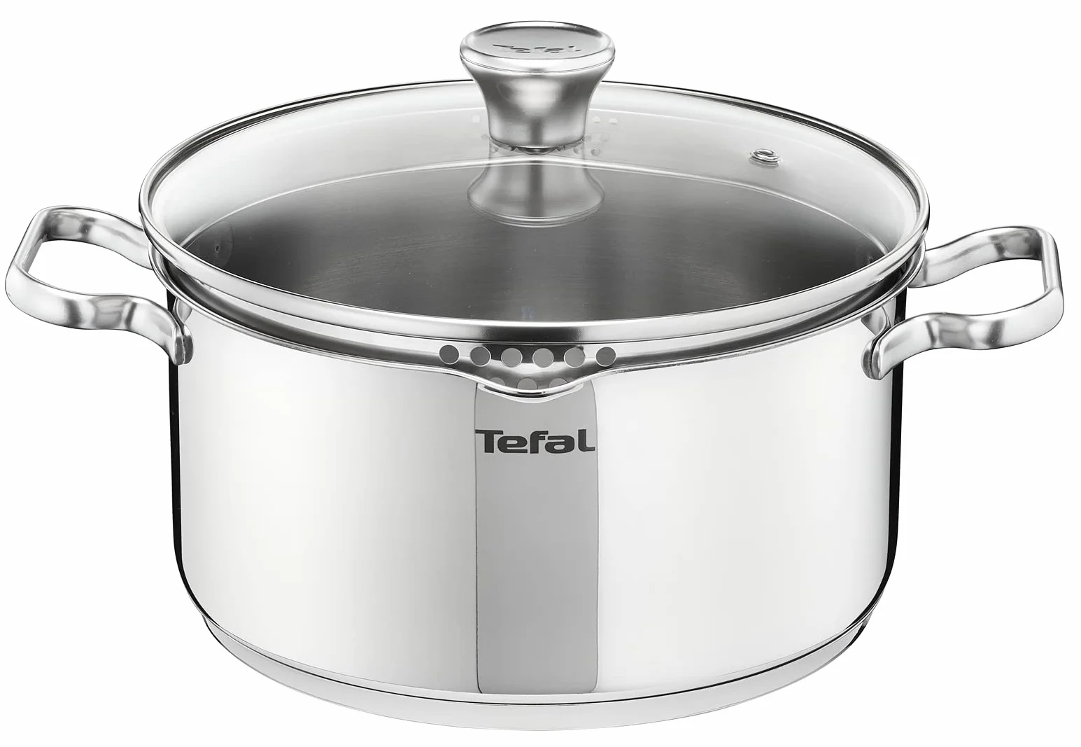 Tefal Faitout 20 cm Induction Casserole Acier inoxydable 18/10 Couvercle filtrant en verre