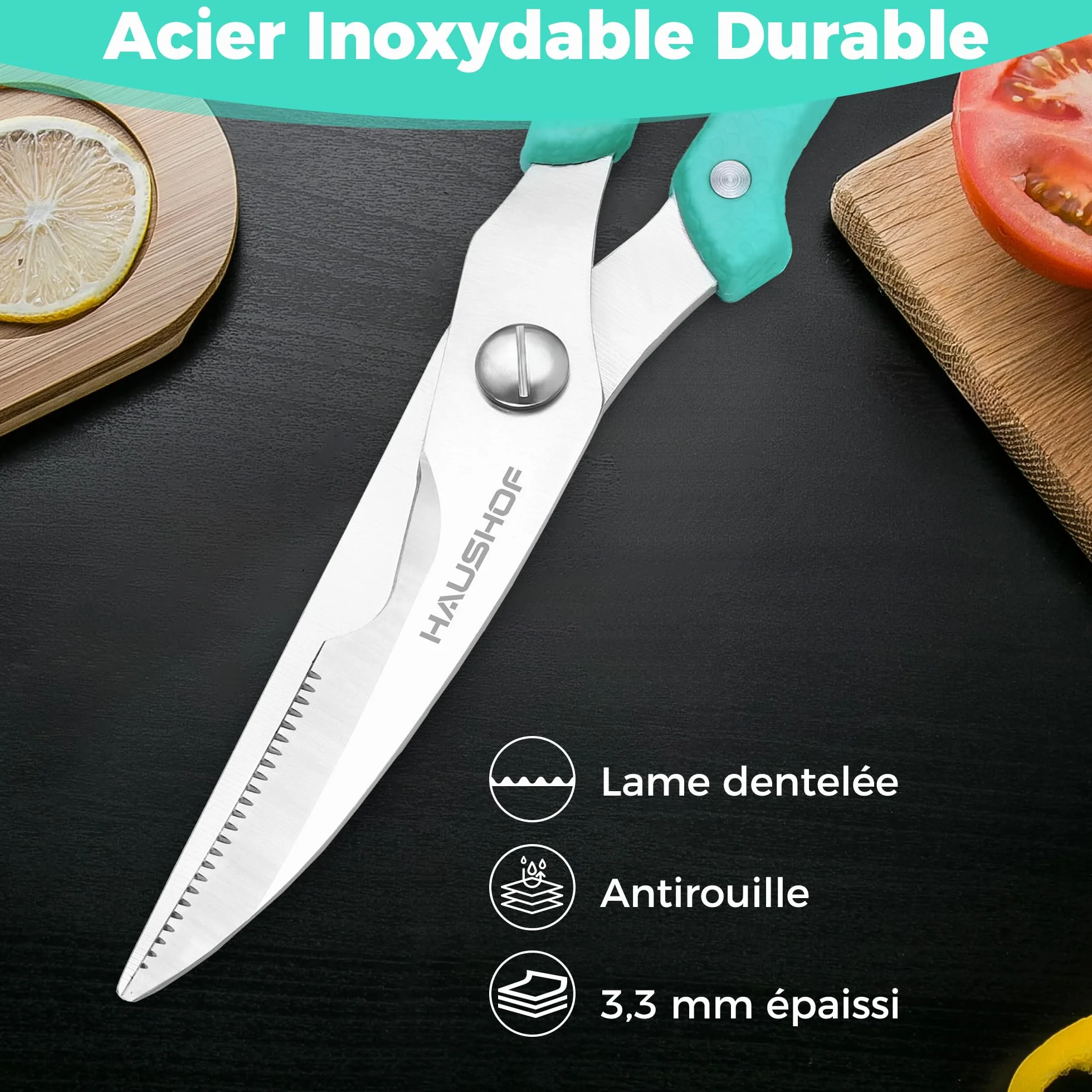 HAUSHOF Ciseaux à Volaille Robustes 255 mm, Acier Inoxydable, Ciseaux de Cuisine Professionnels