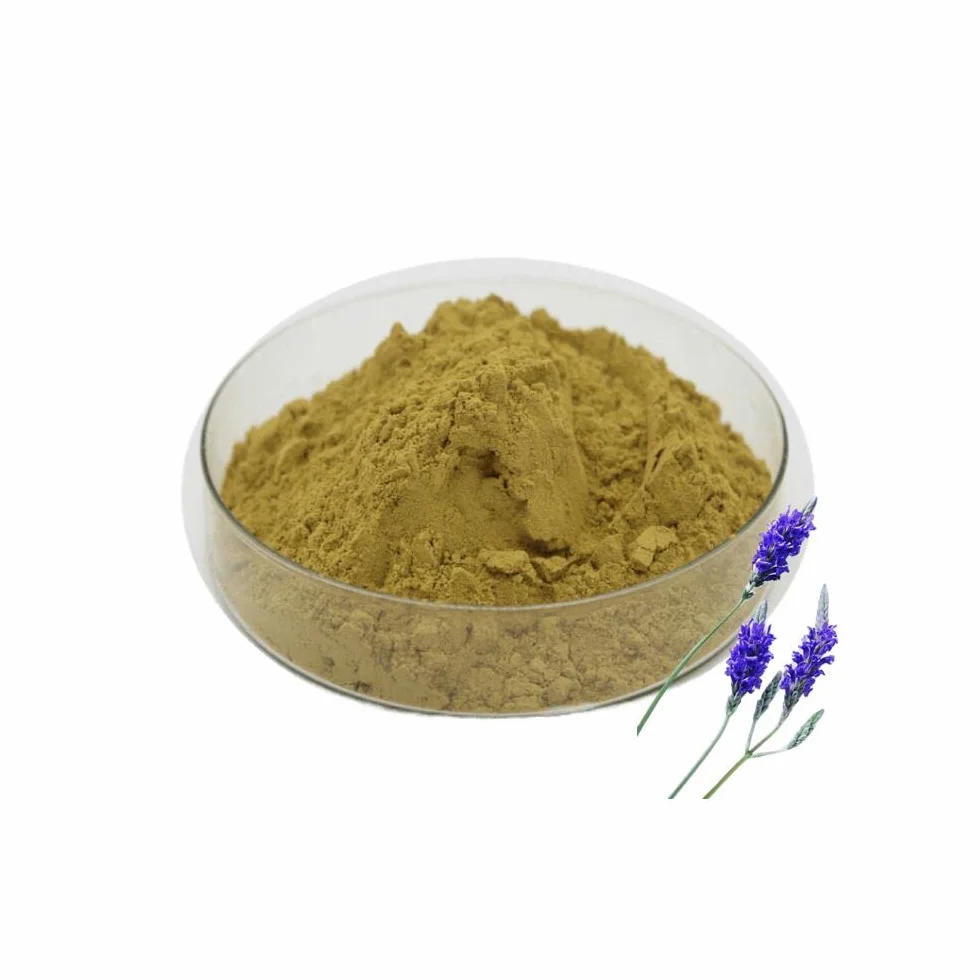 Poudre de Fleurs de Lavande Sauvage 100g Très Parfumée 100% Naturelle Qualité Supérieure