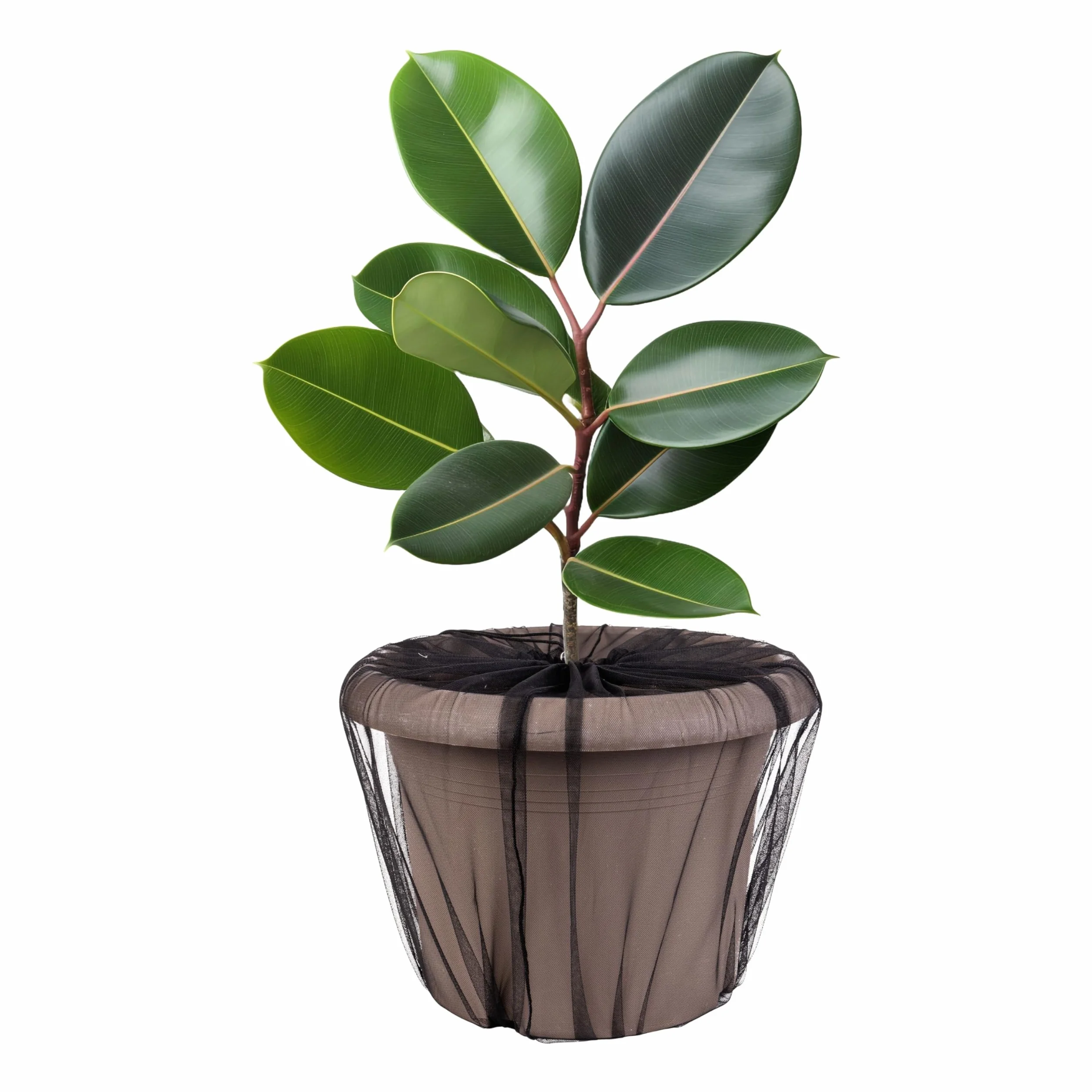 Filet de Protection des Plantes Sécurité Enfants 2 pcs Nylon Noir Ø 30 cm