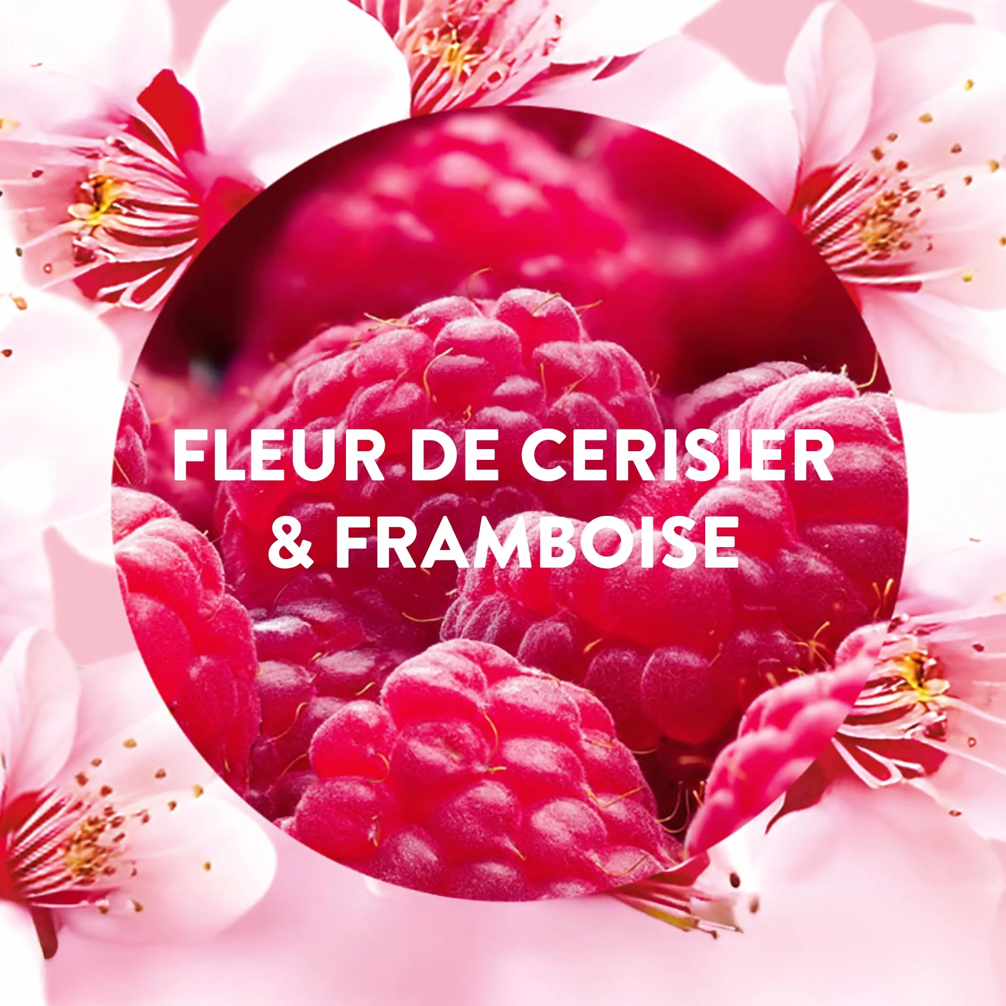 Air Wick Désodorisant Maison Spray Automatique Active Fresh 3 Recharges Fleur de Cerisier & Framboise