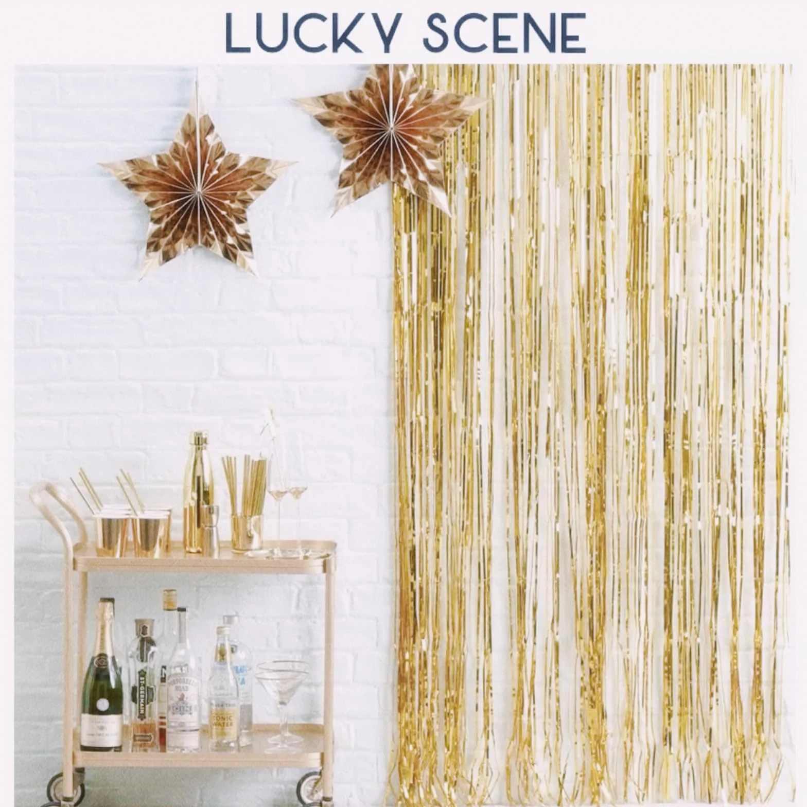 Rideaux à franges pailletées Champagne doré 1 x 2 m pour décorations de Noël