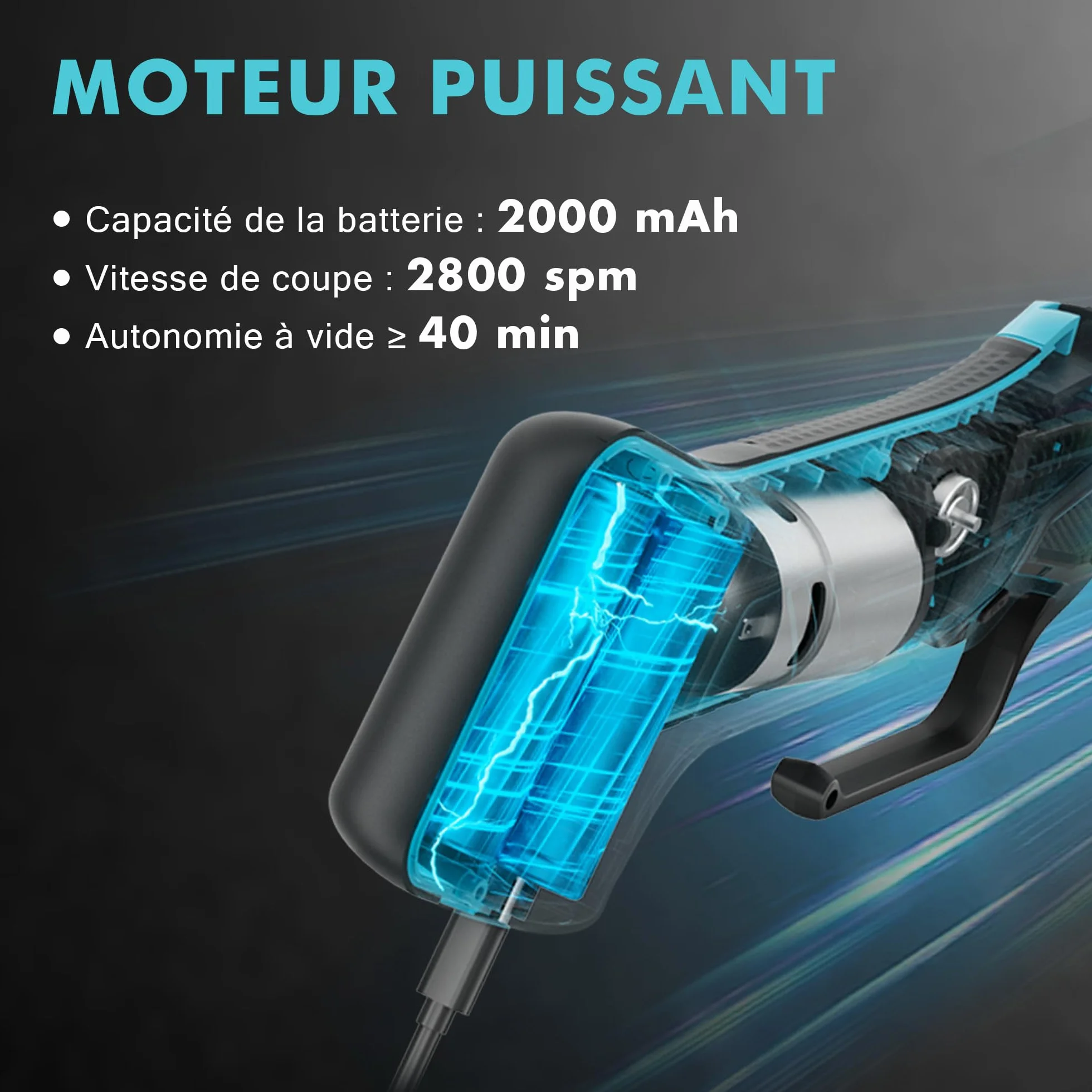 DURATECH Couteau à Filet Électrique sans Fil Rechargeable 2 Lames 20cm/25cm Poignée Antidérapante Verrou de Sécurité LED