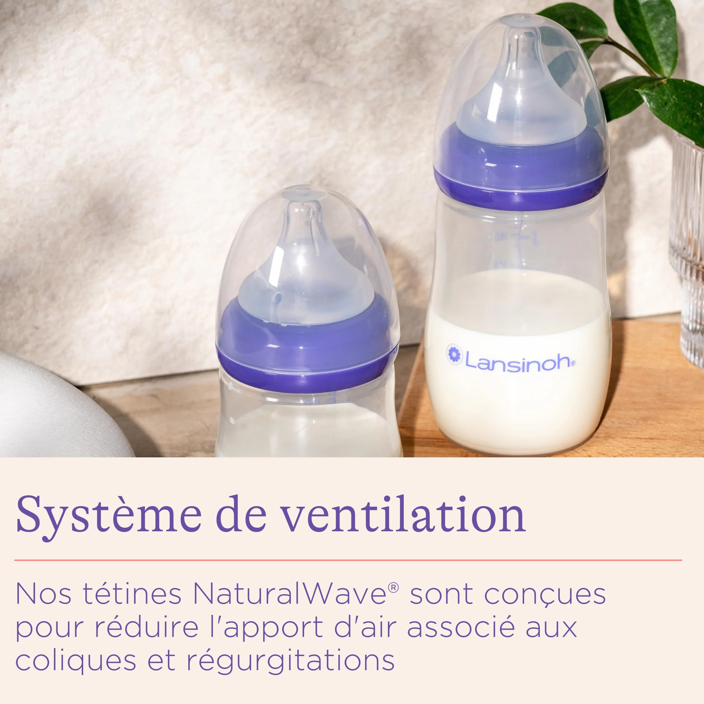 Lansinoh Biberon PP Natural Wave 2x240ml Anti-Colique AVS Tétine Large Souple Sans BPA Allaitement Mixte 0 mois