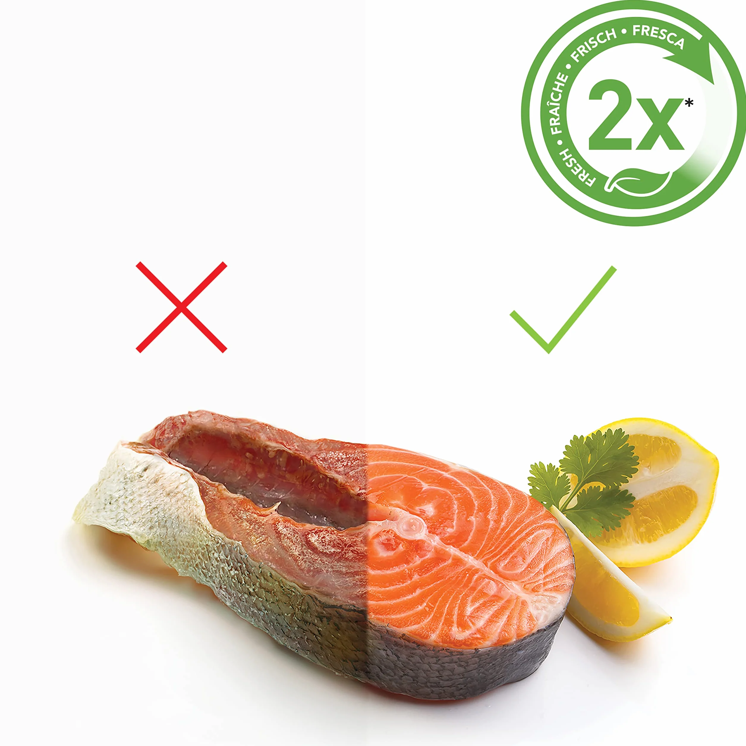 FoodSaver Appareil de mise sous vide portatif sans fil VS1199X avec station de chargement et récipient