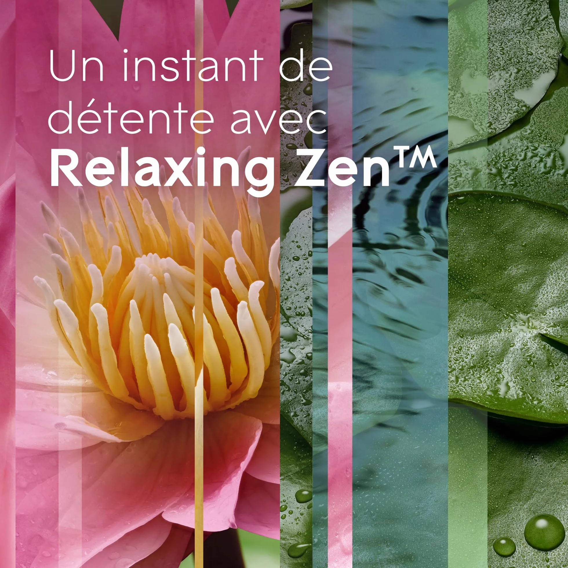 Glade Sense et Spray Recharge Diffuseur à Détection de Mouvement Infusé Aux Huiles Essentielles Relaxing Zen 1 Recharge
