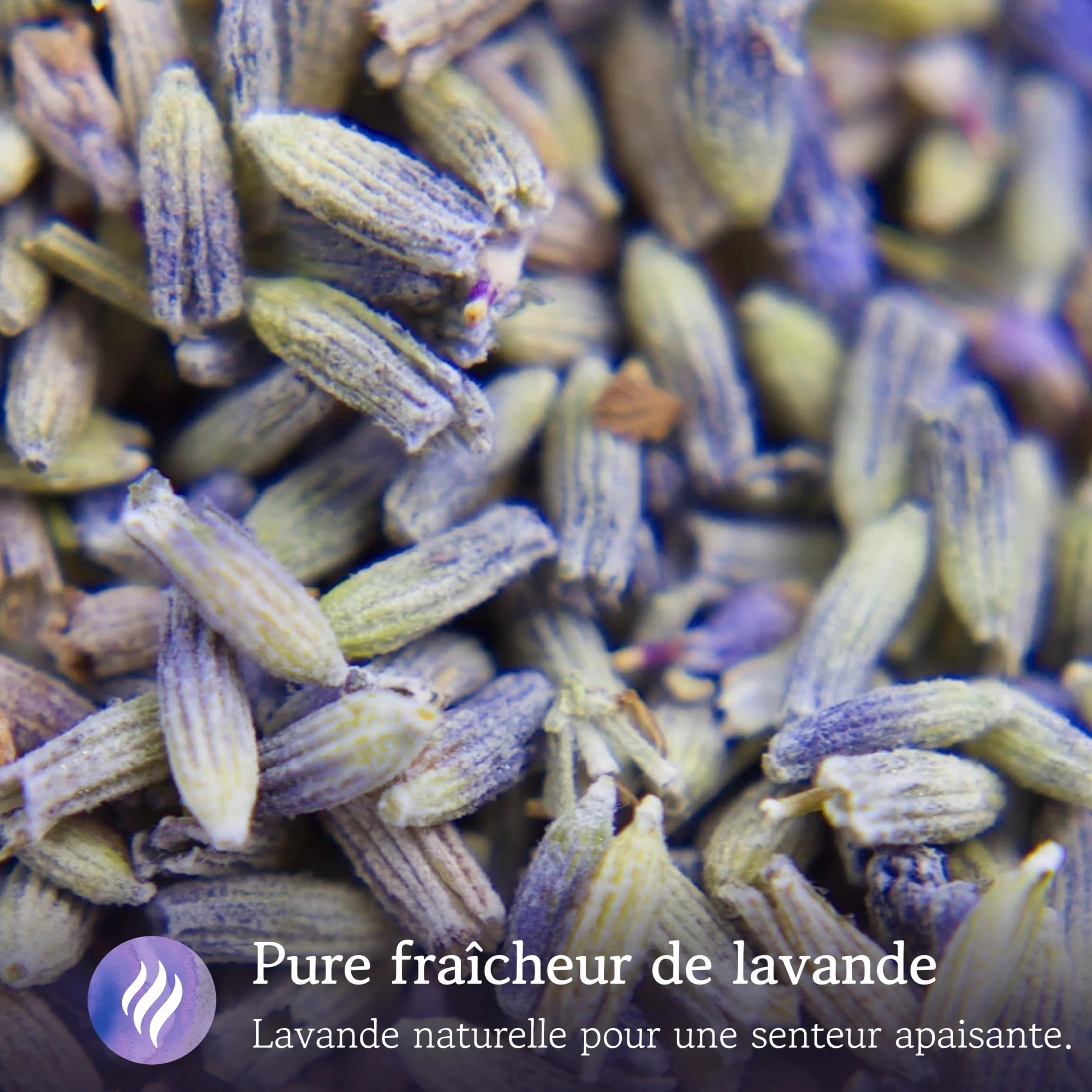 LAVODIA Sachets Parfumés Lavande 20x6g Désodorisant pour Armoire et Voiture