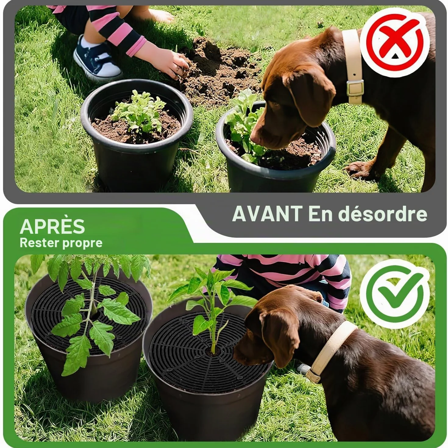 Grille Protection Plante 52cm 2pcs Chat Non Toxique Pot de Fleurs